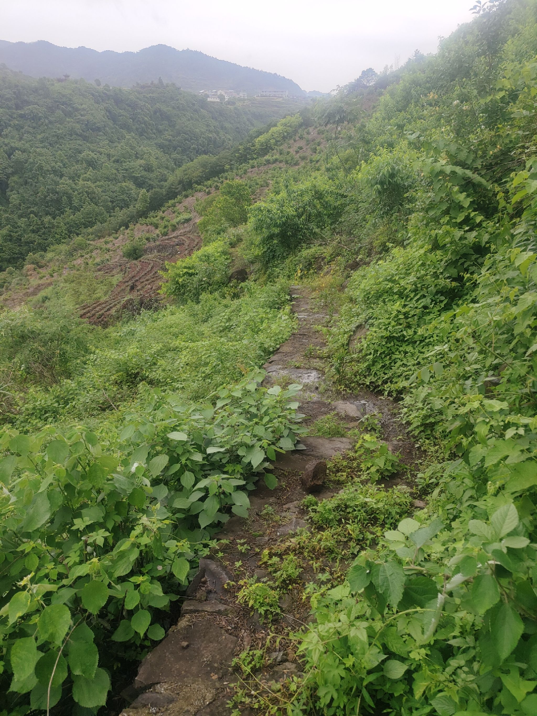 五龙潭大峡谷旅行图片 3