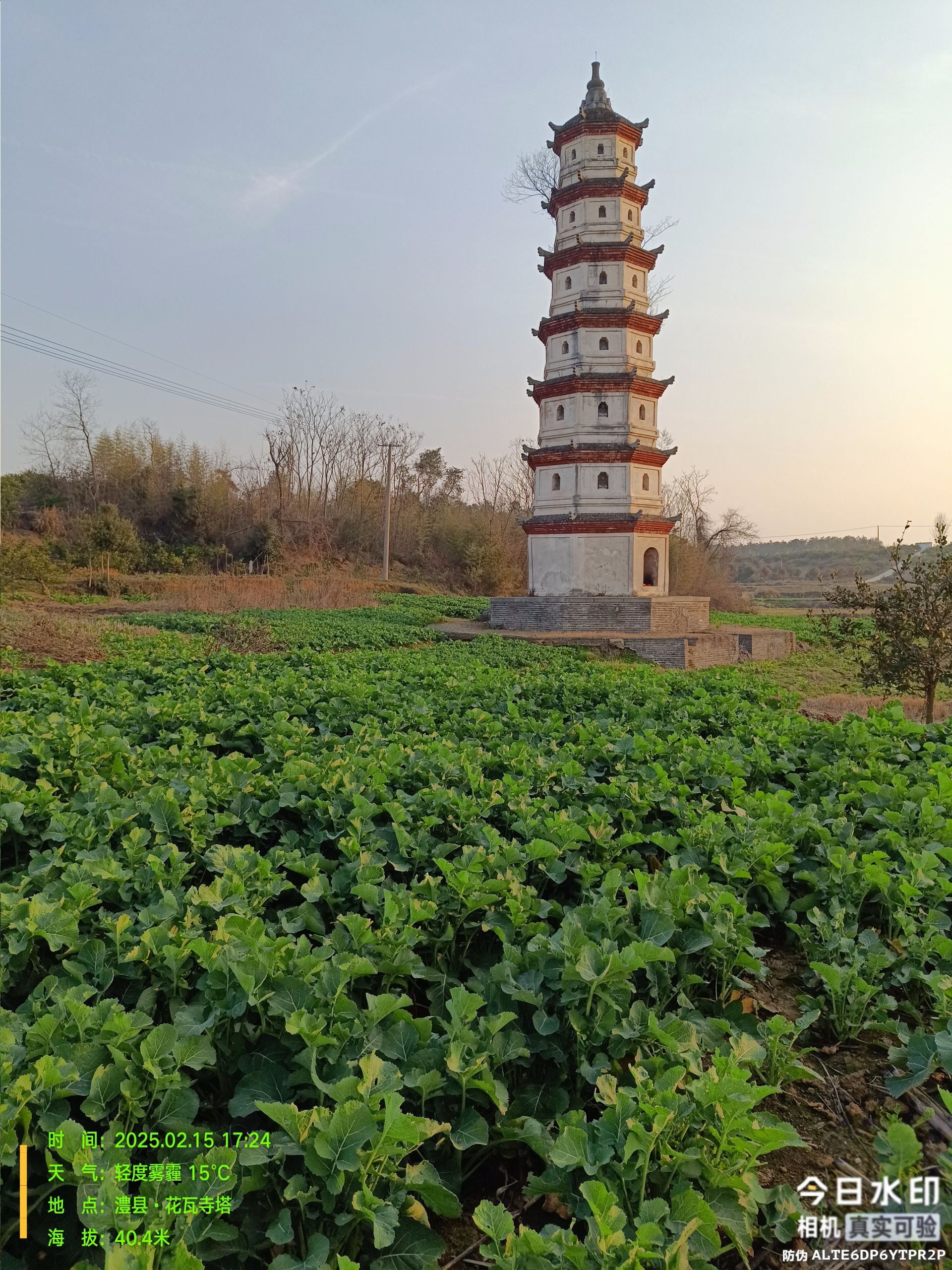 花瓦寺塔旅行图片 1