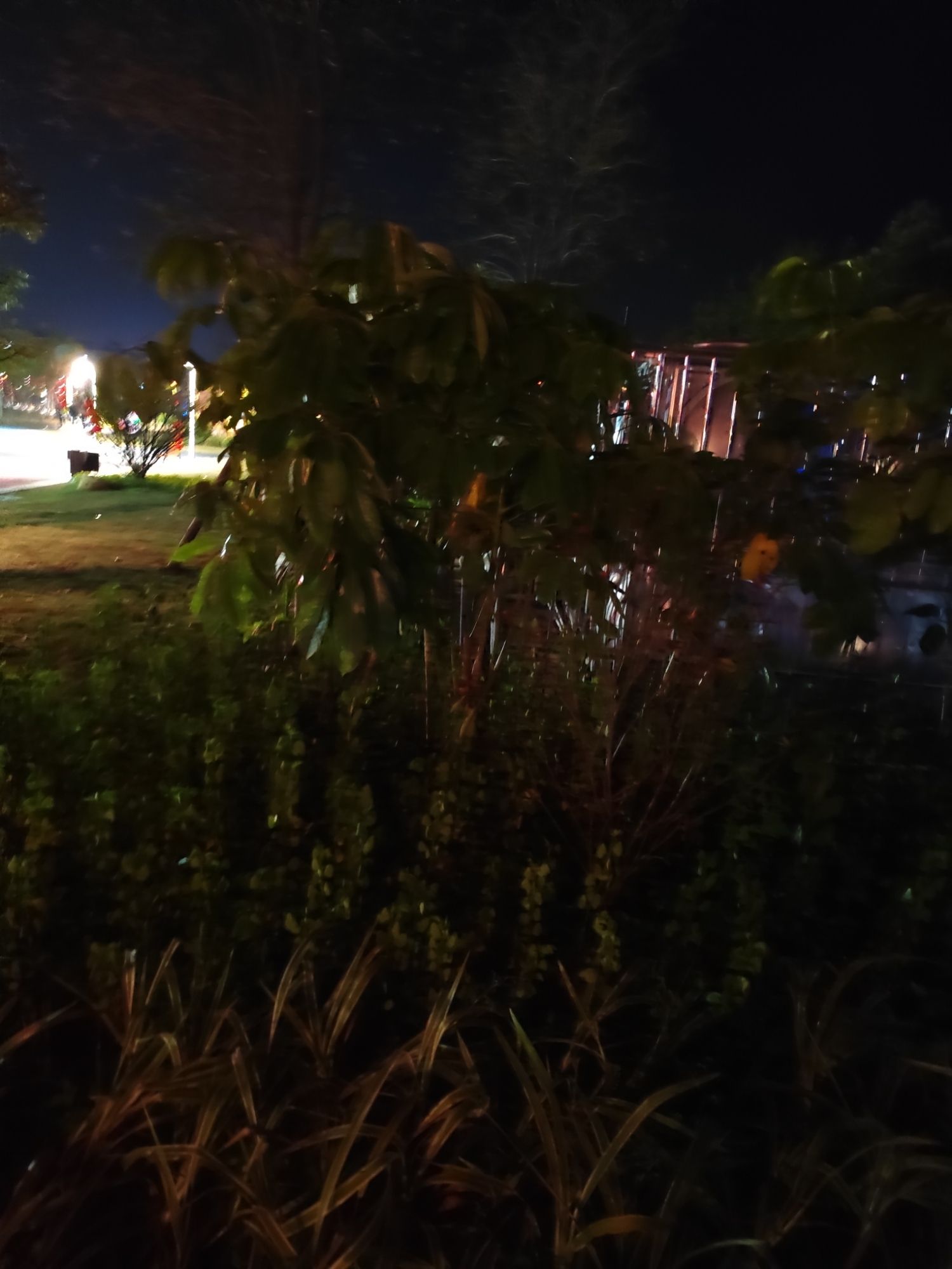 石榴填鸭文化公园旅行图片 1