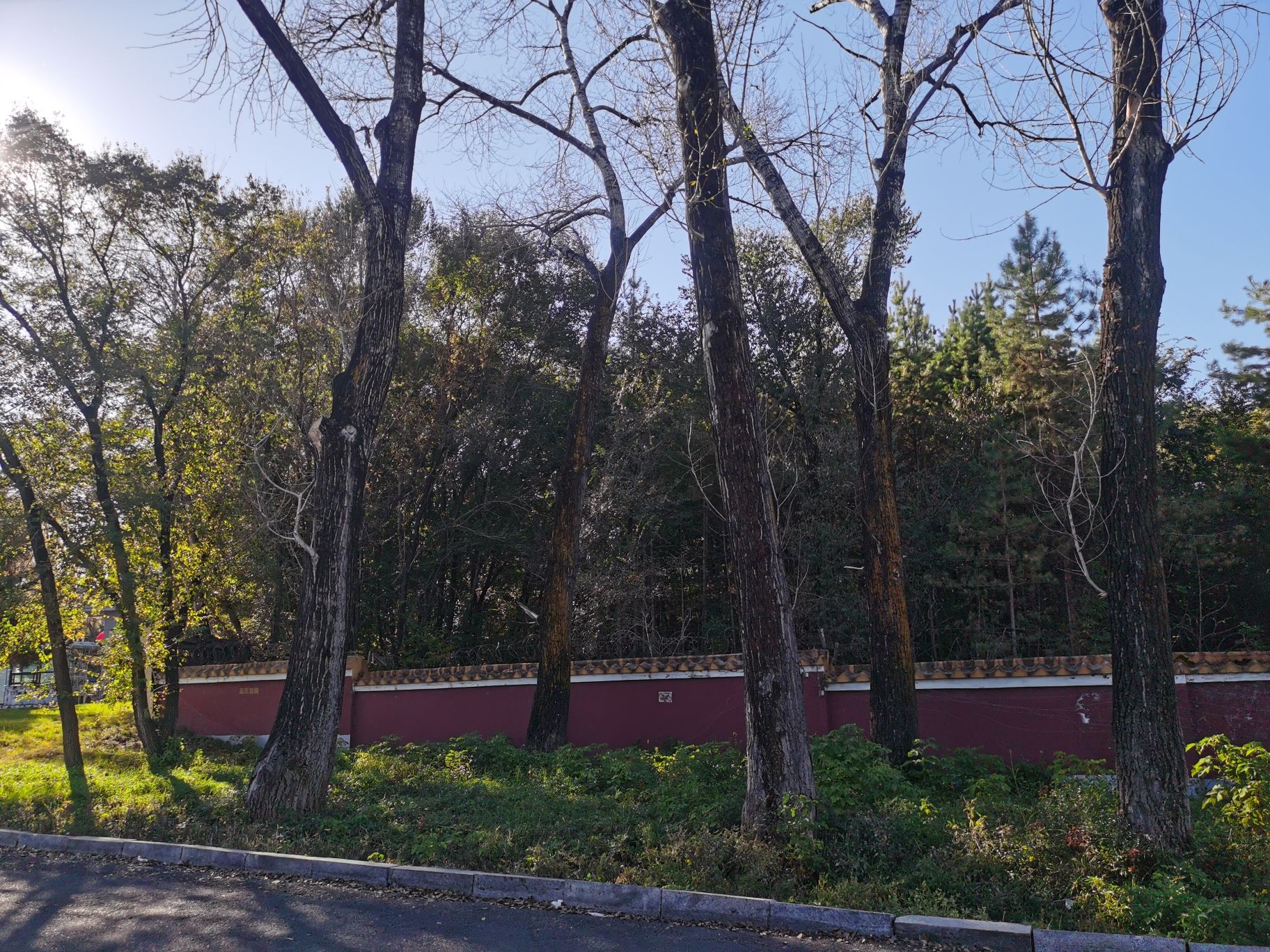 人民空军东北老航校旧址旅行图片 3