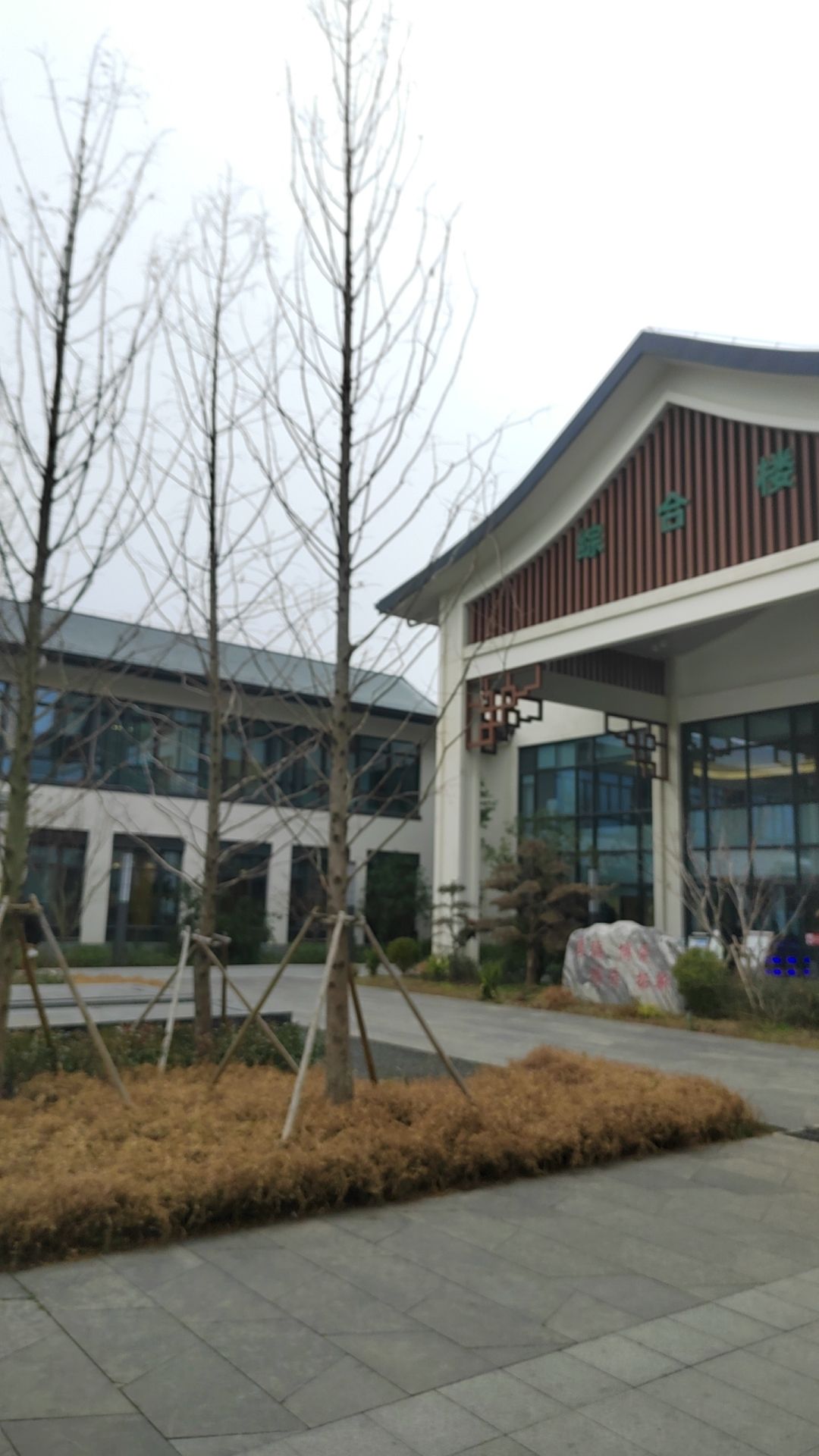 慈城镇中心卫生院新院