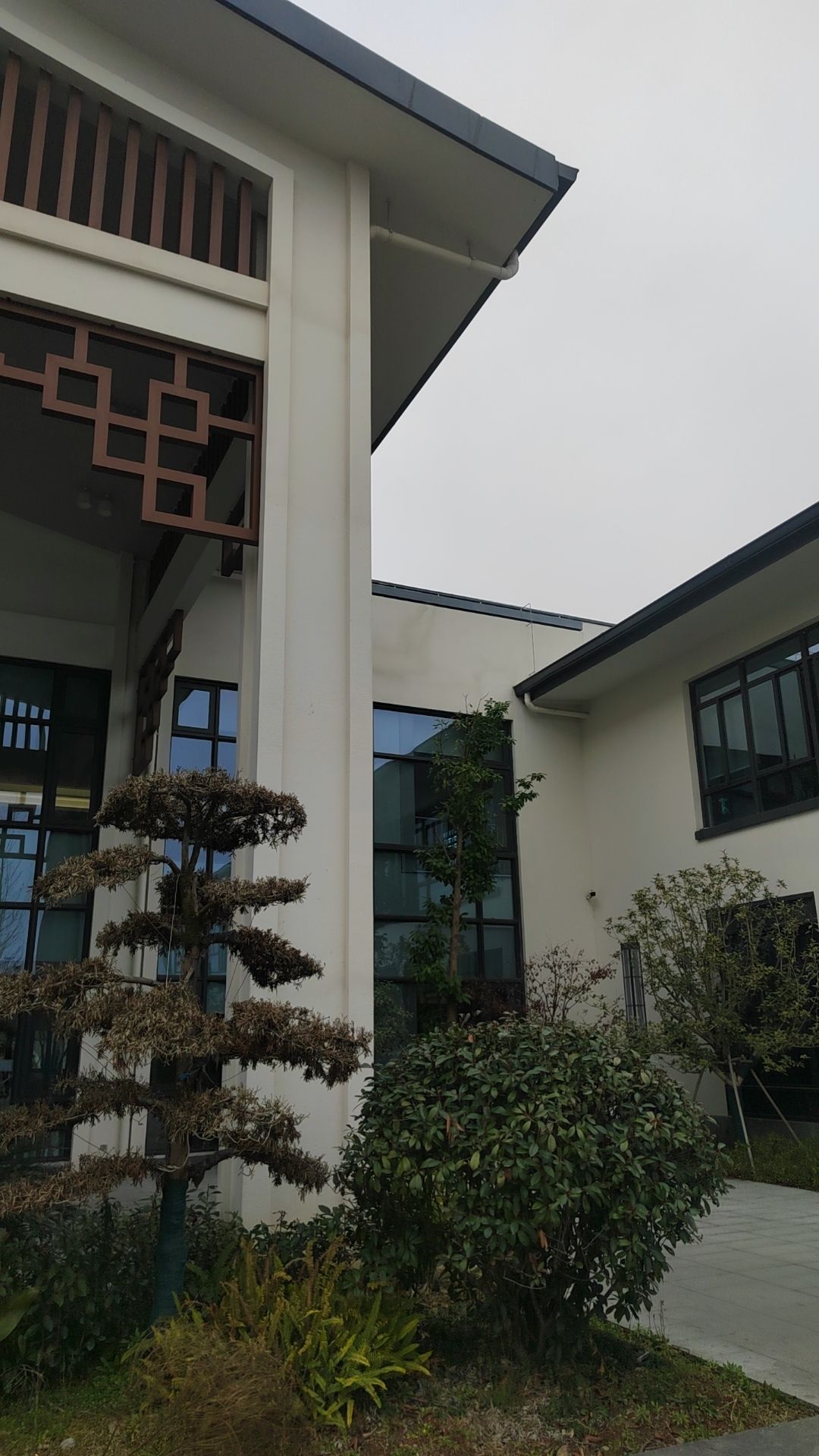 慈城镇中心卫生院新院