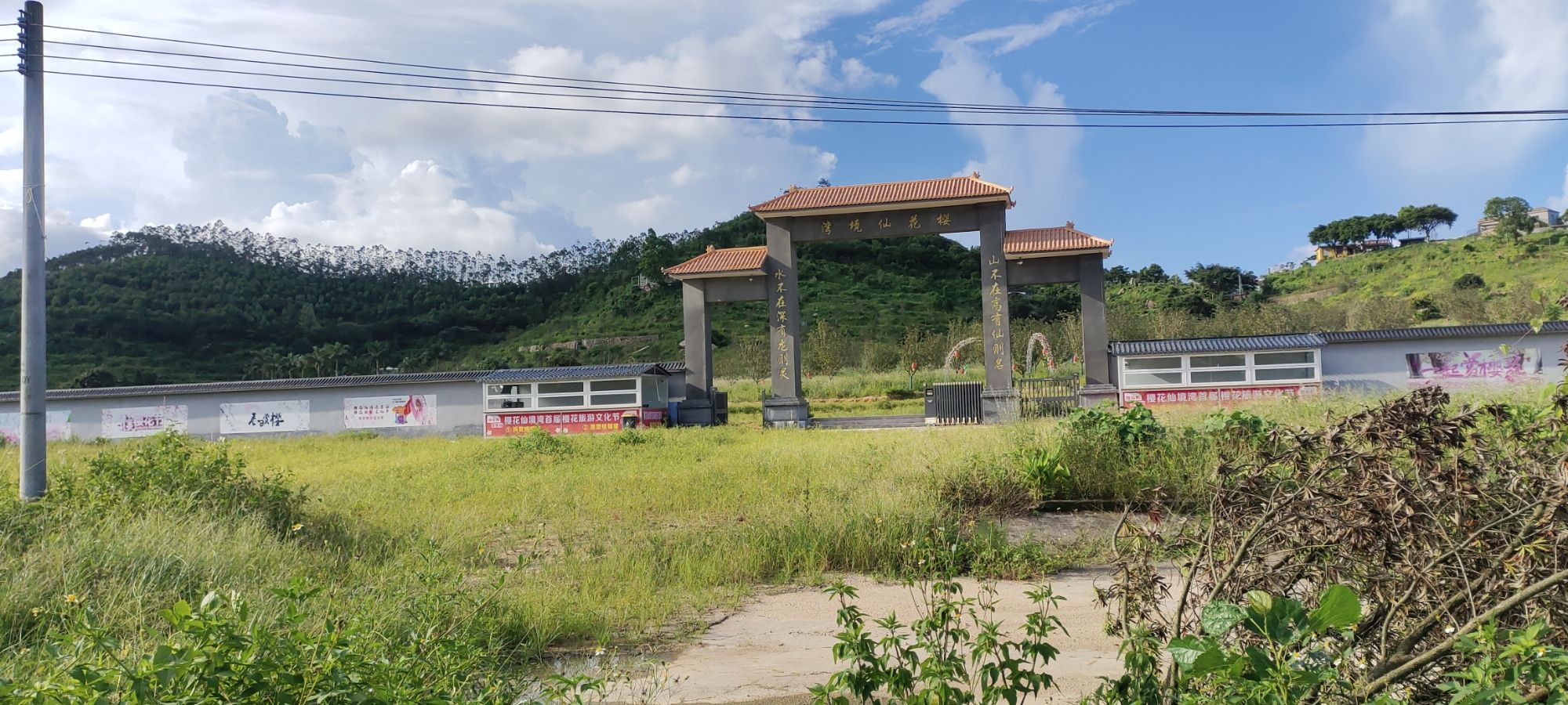 江门樱花仙境湾旅行图片 1