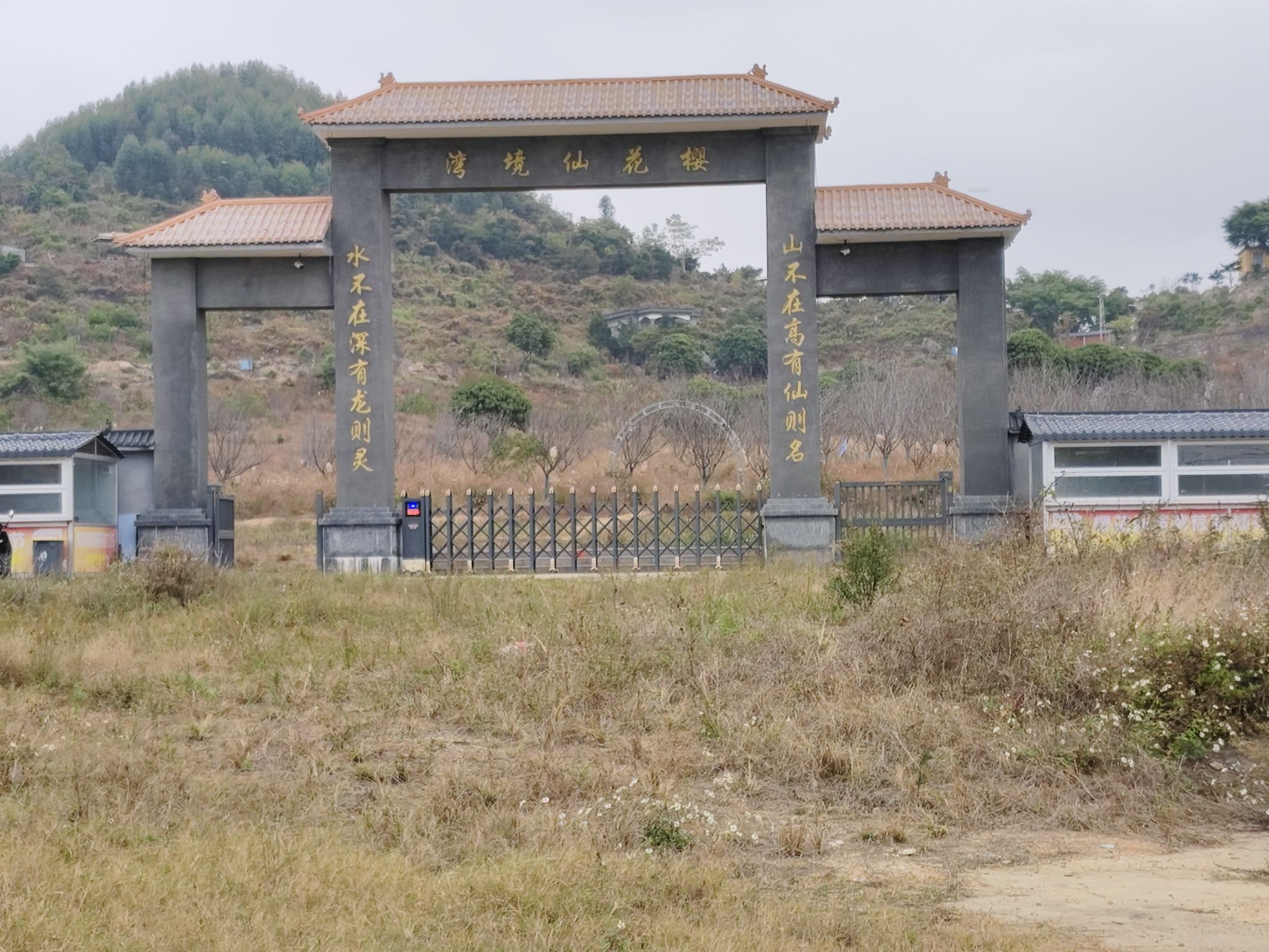 江门樱花仙境湾旅行图片 1