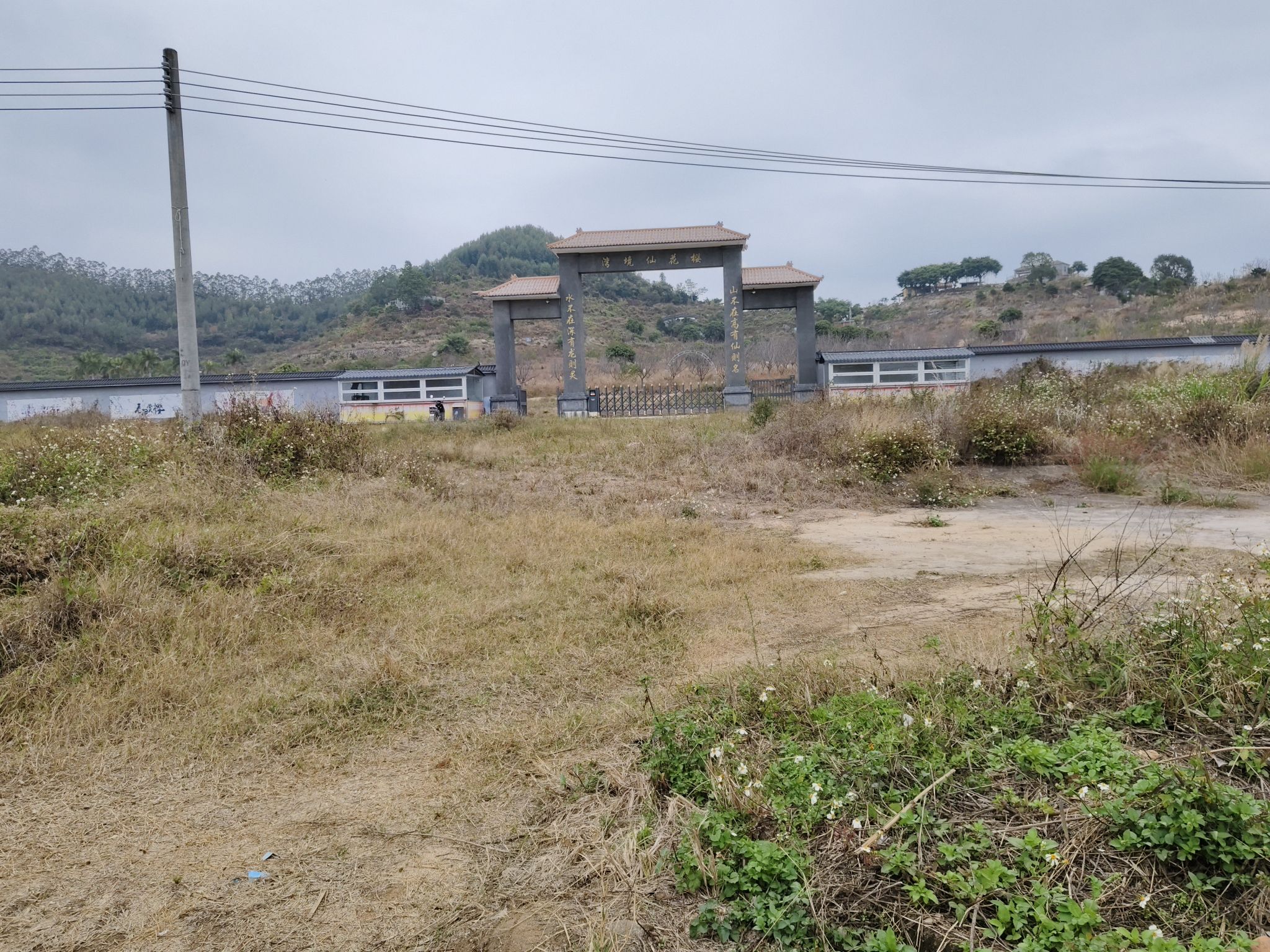 江门樱花仙境湾旅行图片 3
