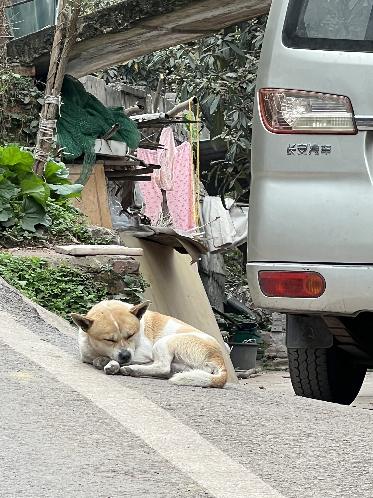 阿拉丁沟旅行图片 1