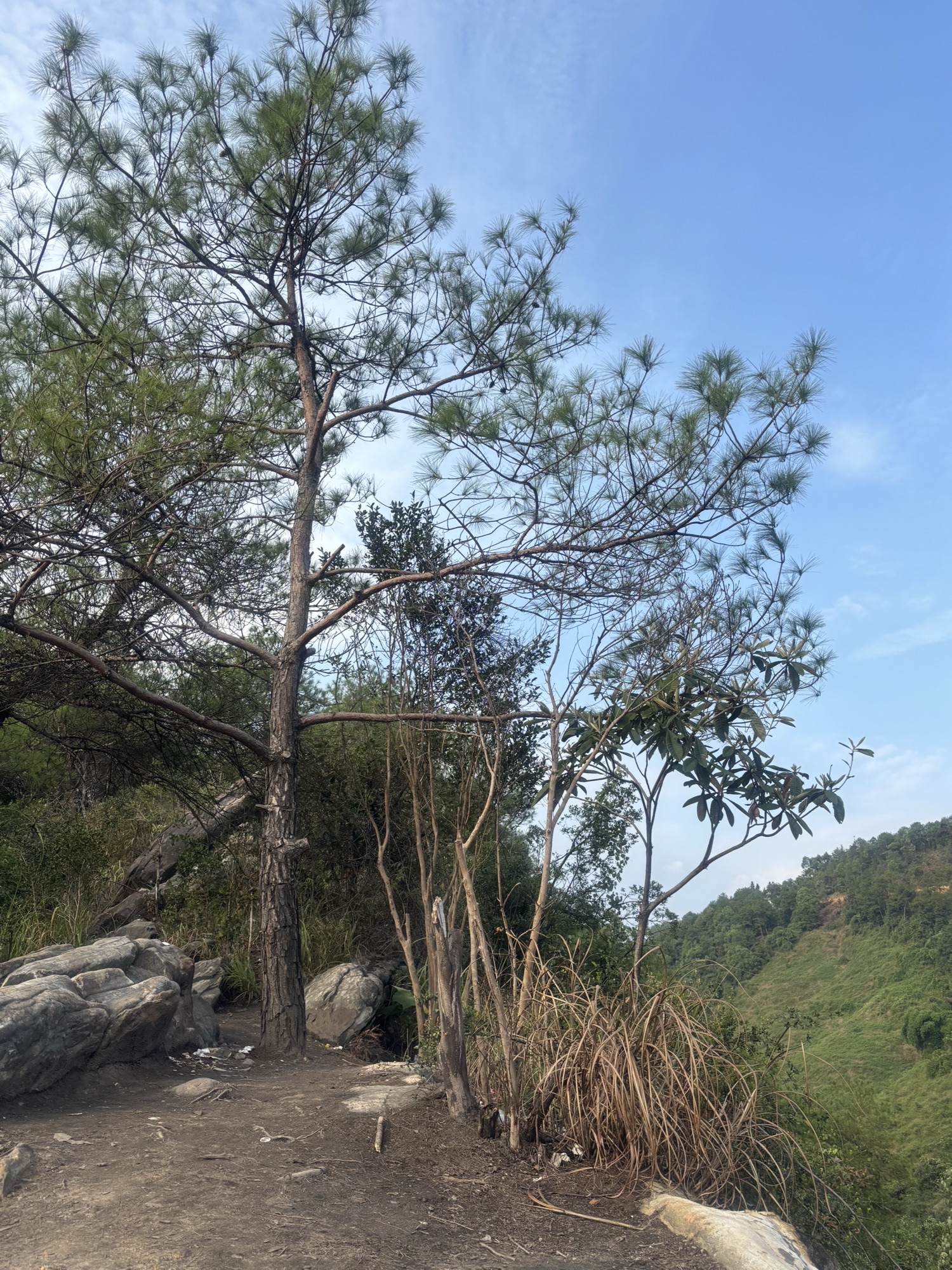 阿拉丁沟旅行图片 2