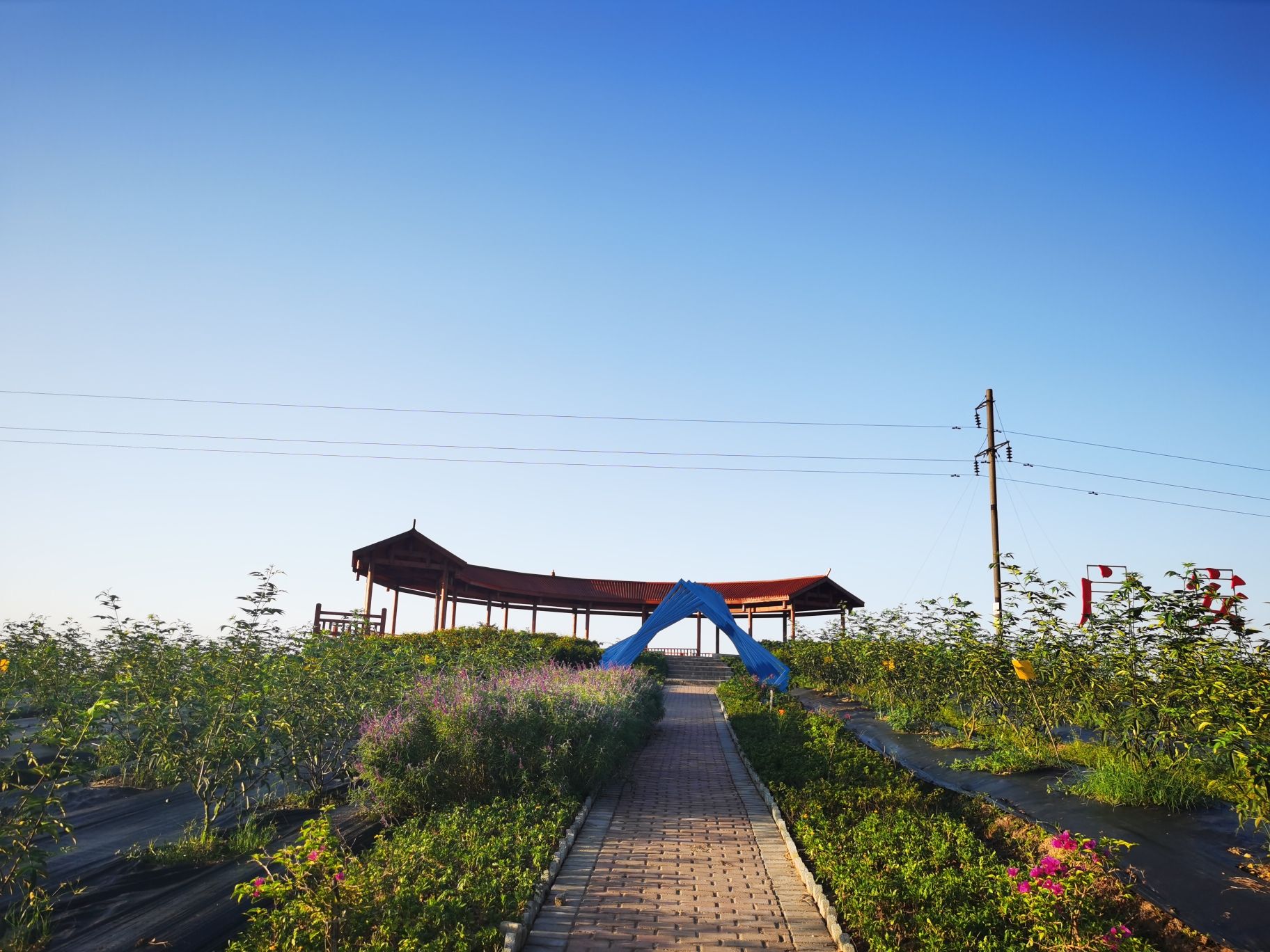 广安青花椒主题公园旅行图片 3