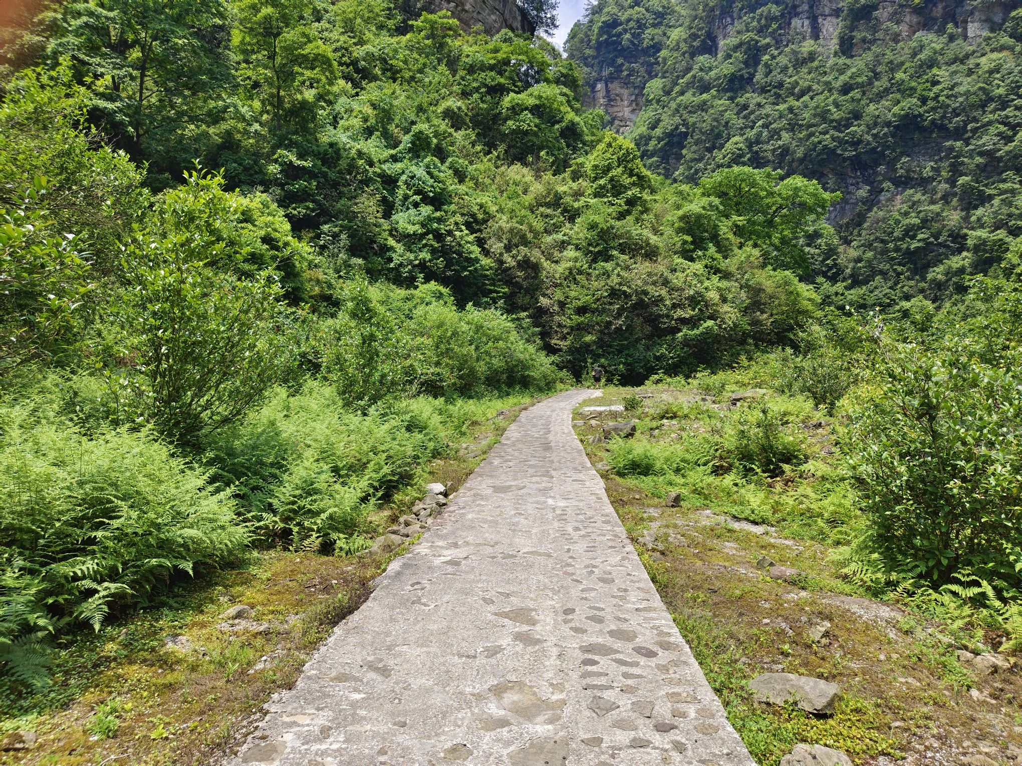 白虎堂北固乡游击队遗址旅行图片 3