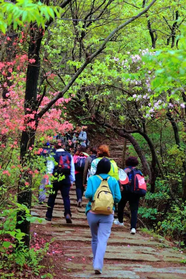 大洪古道旅行图片 2