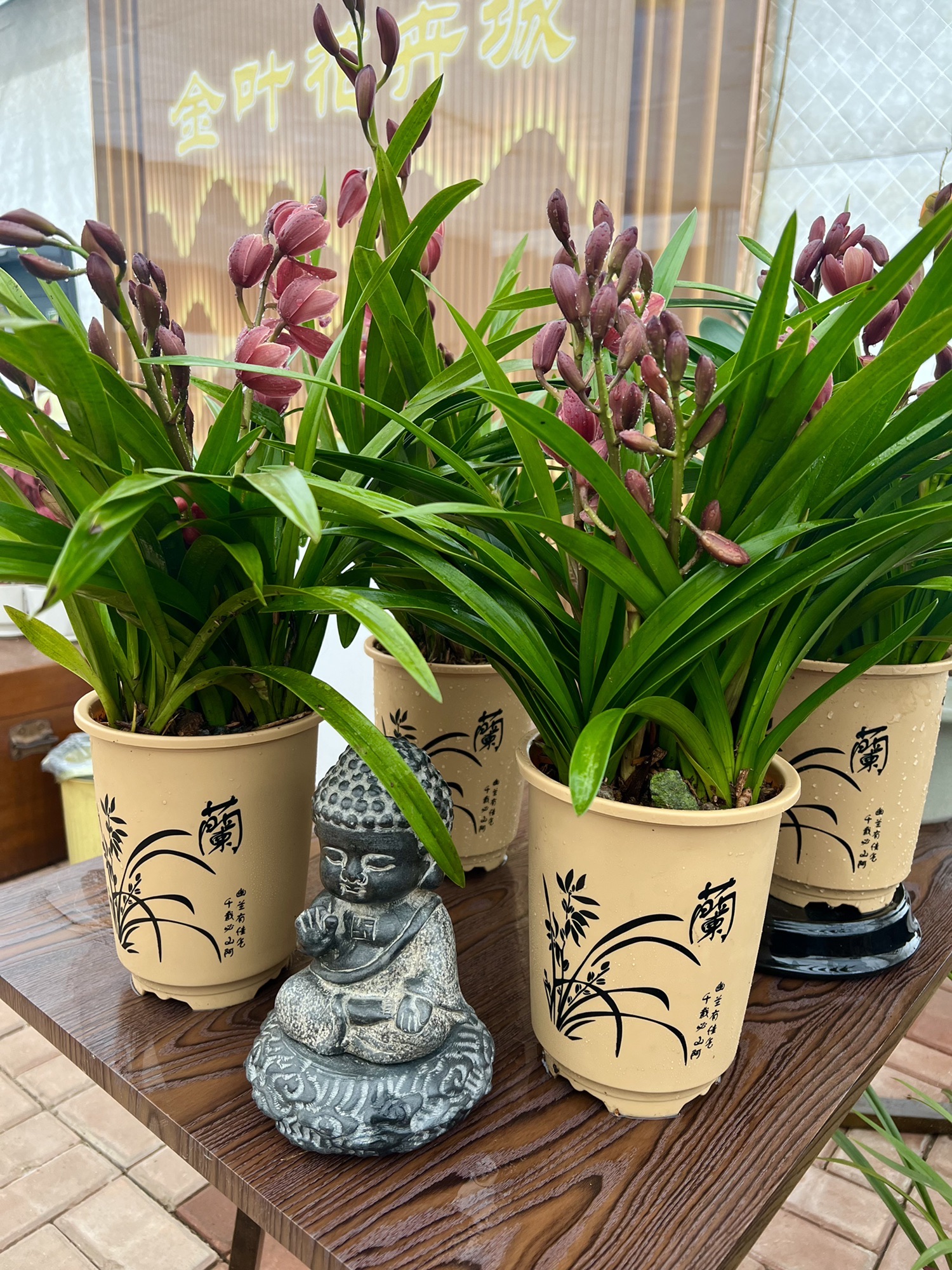 金叶花卉城