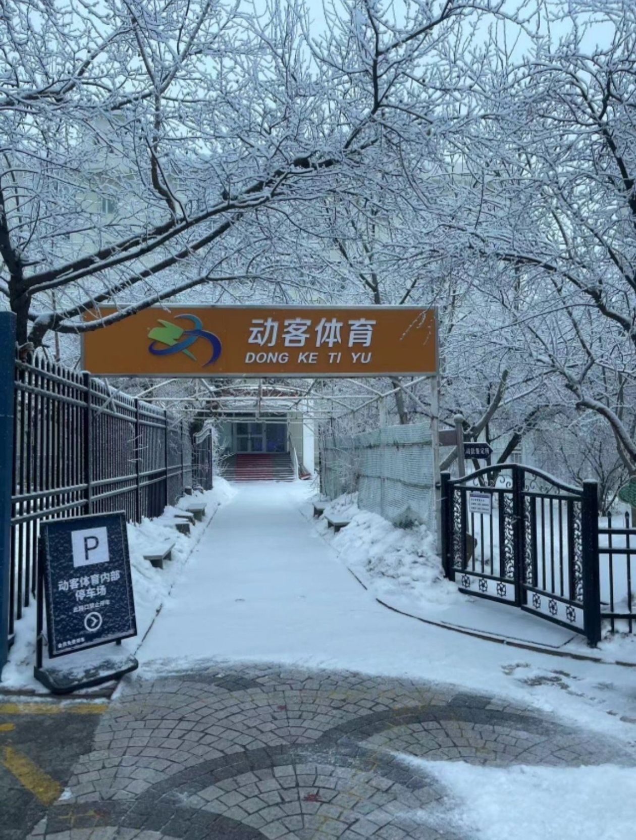 动客体育