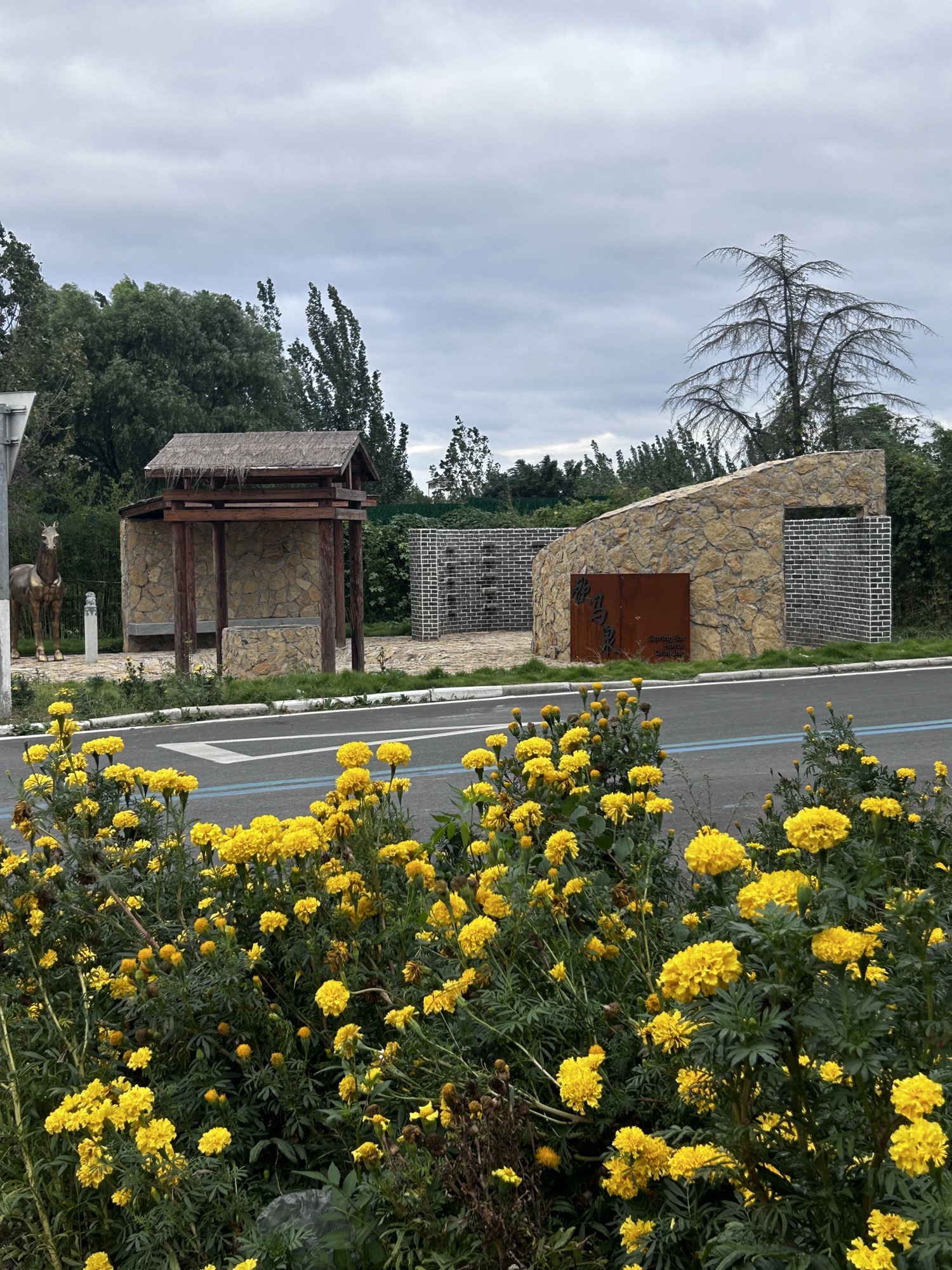 饮马泉旅行图片 2