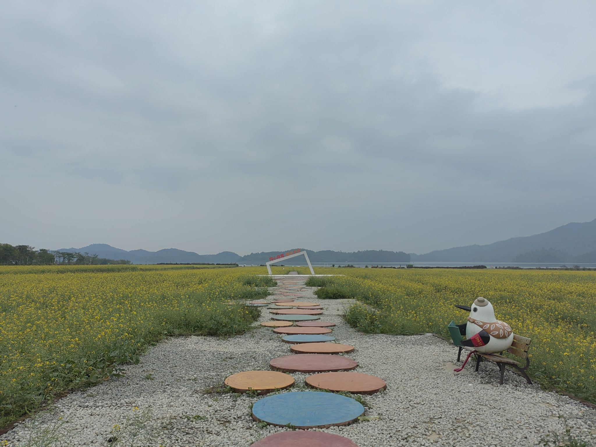 大沙悦湖营地