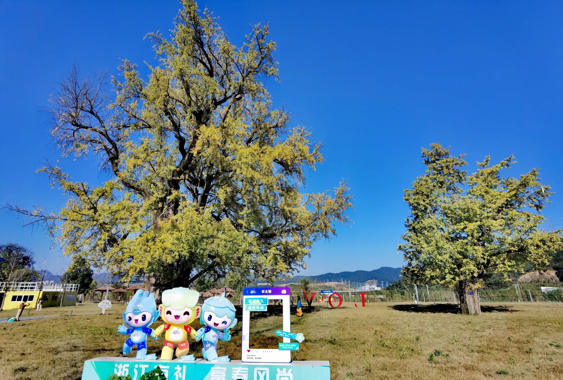 银杏公园旅行图片 3