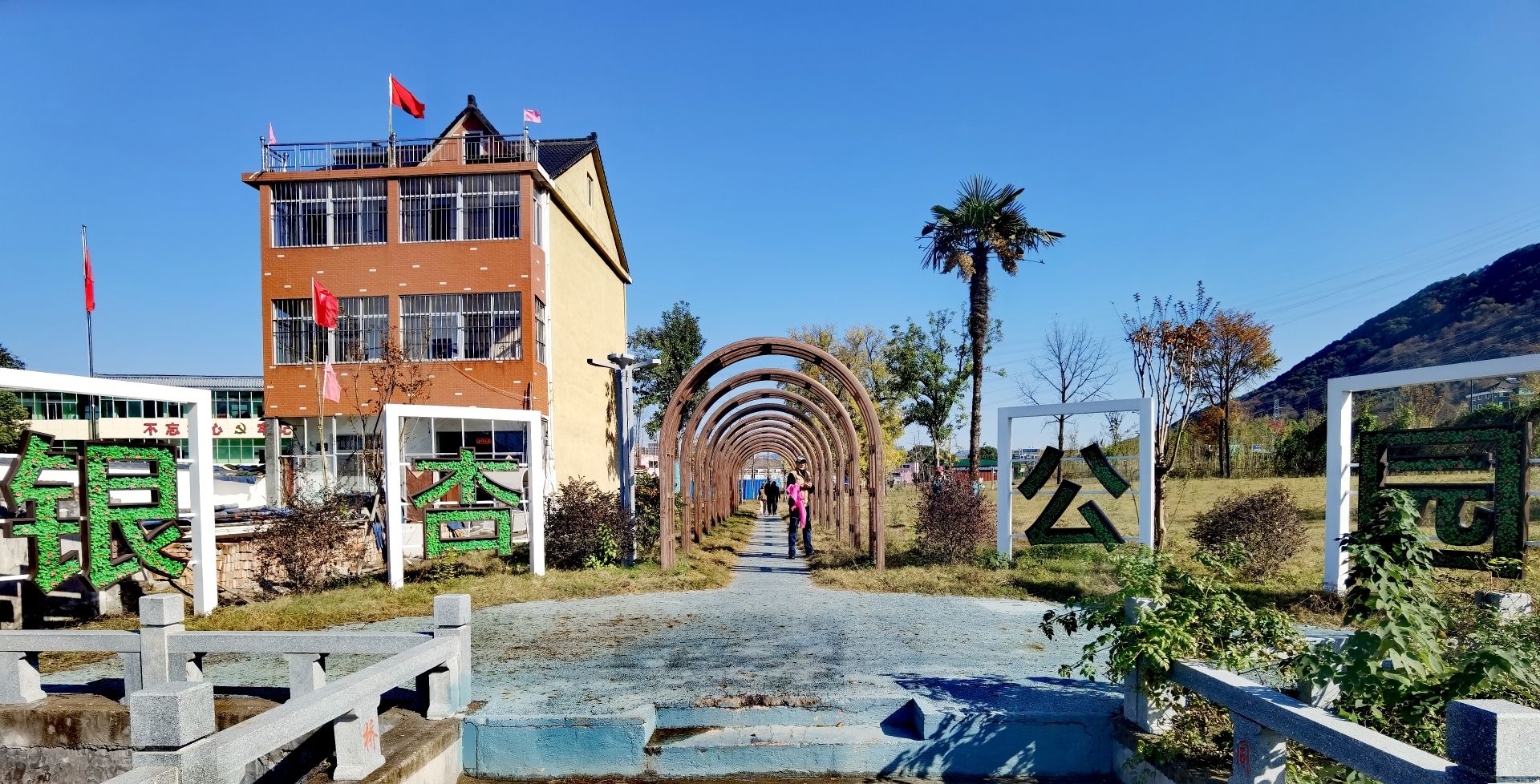 银杏公园旅行图片 1