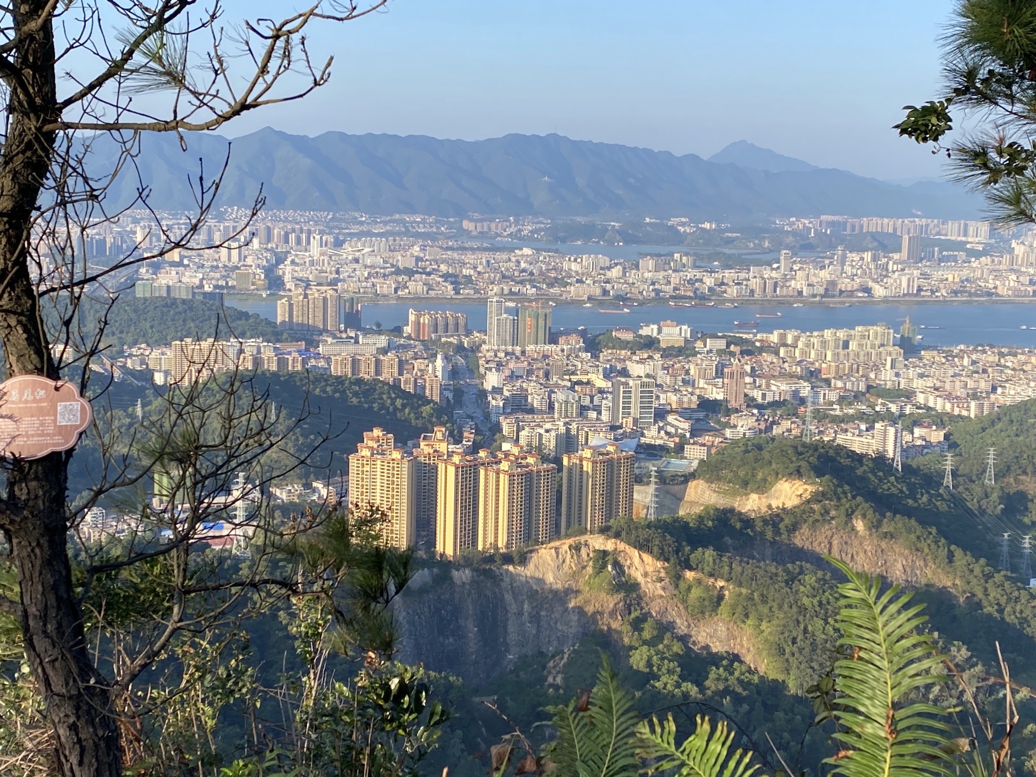 金象山森林公园旅行图片 3