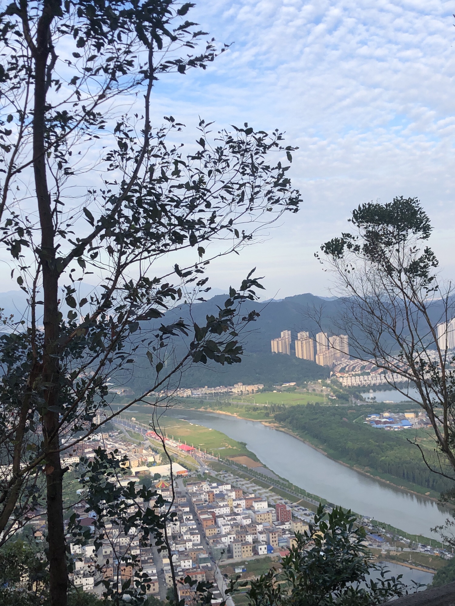 金象山森林公园旅行图片 3