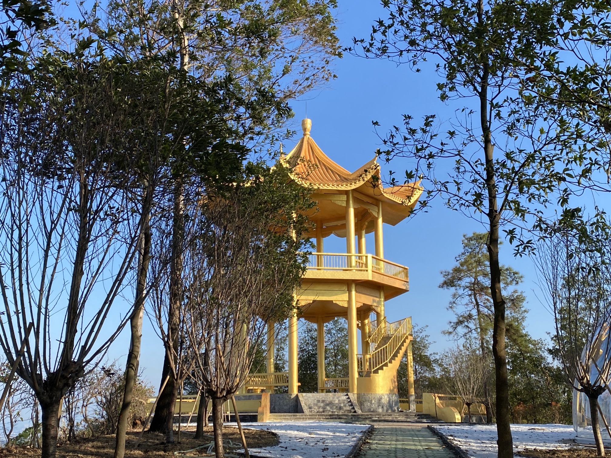 金象山森林公园旅行图片 2
