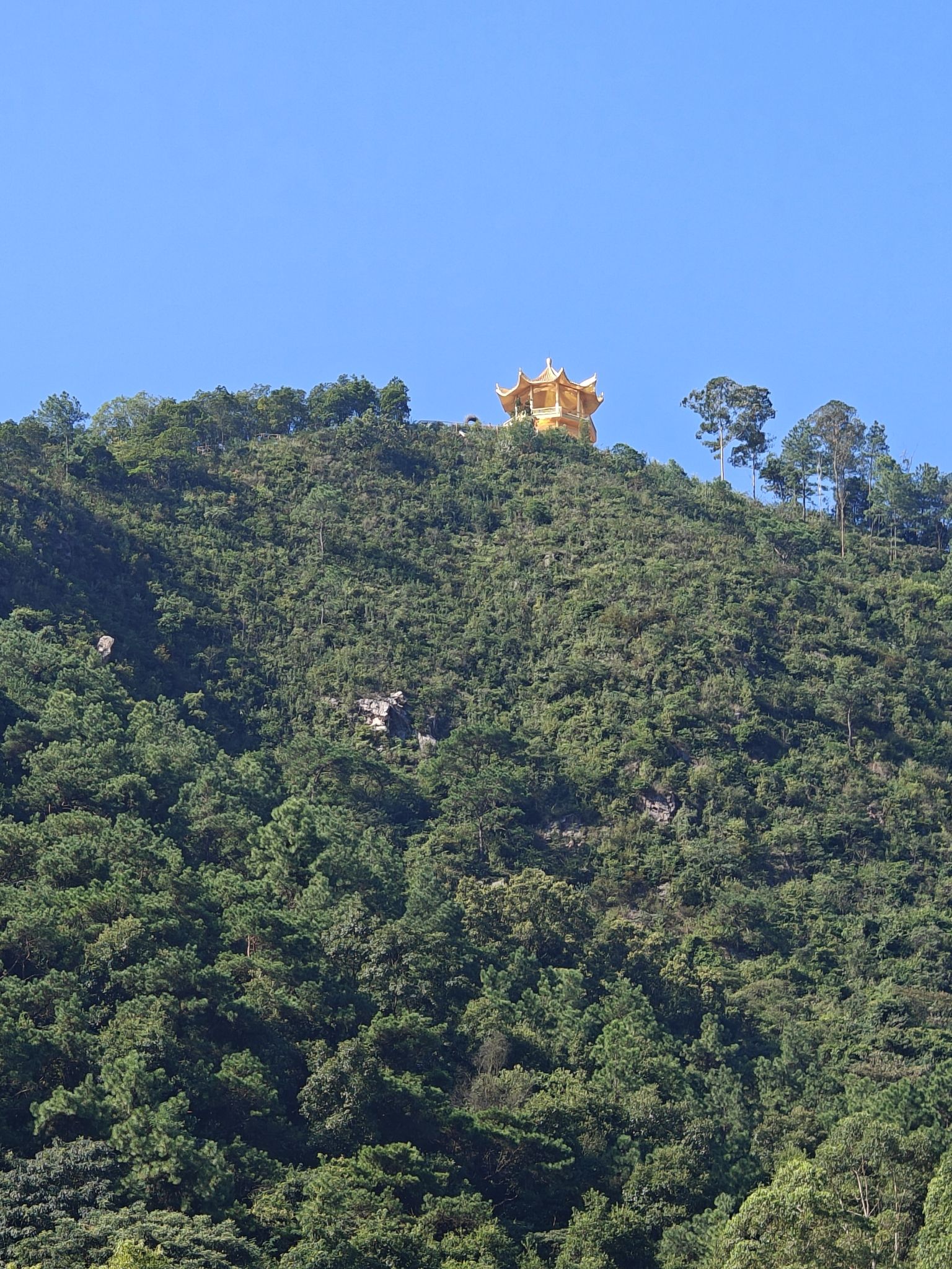 金象山森林公园旅行图片 1