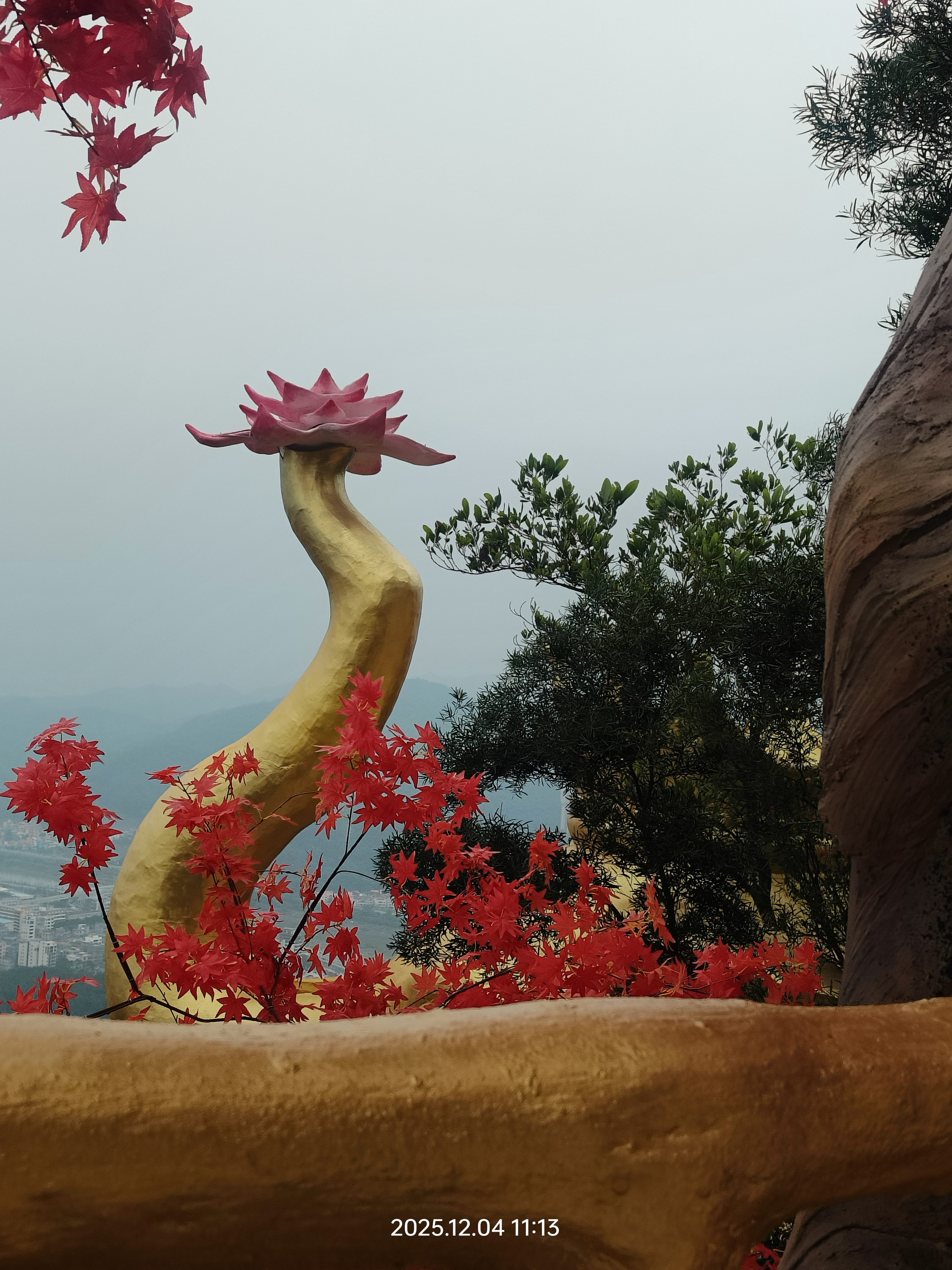 金象山森林公园旅行图片 1