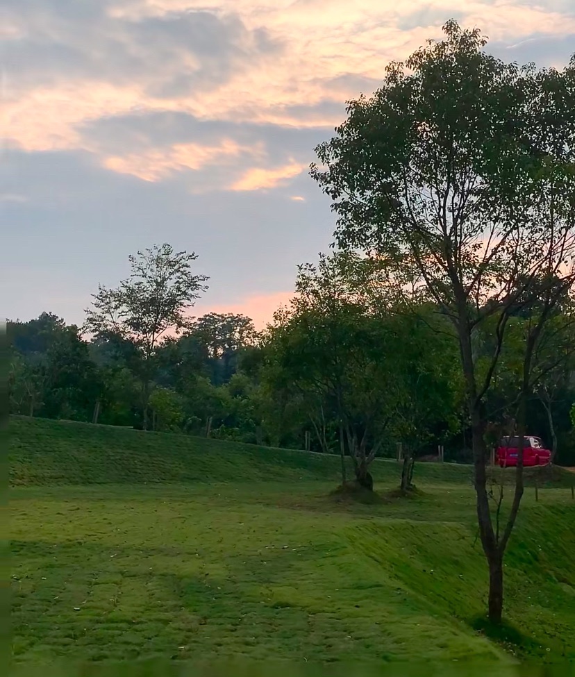 布潭青谷Camp旅行图片 2