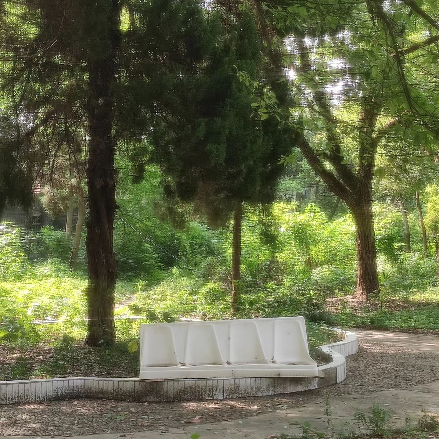 苗圃公园旅行图片 1