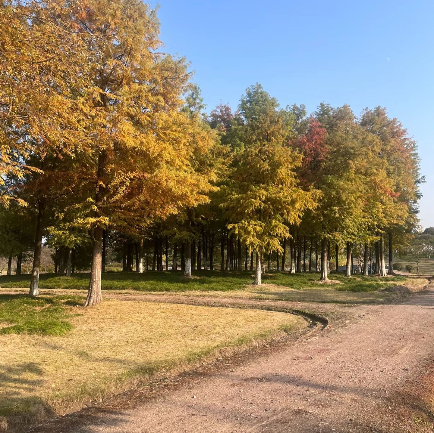 苗圃公园旅行图片 3