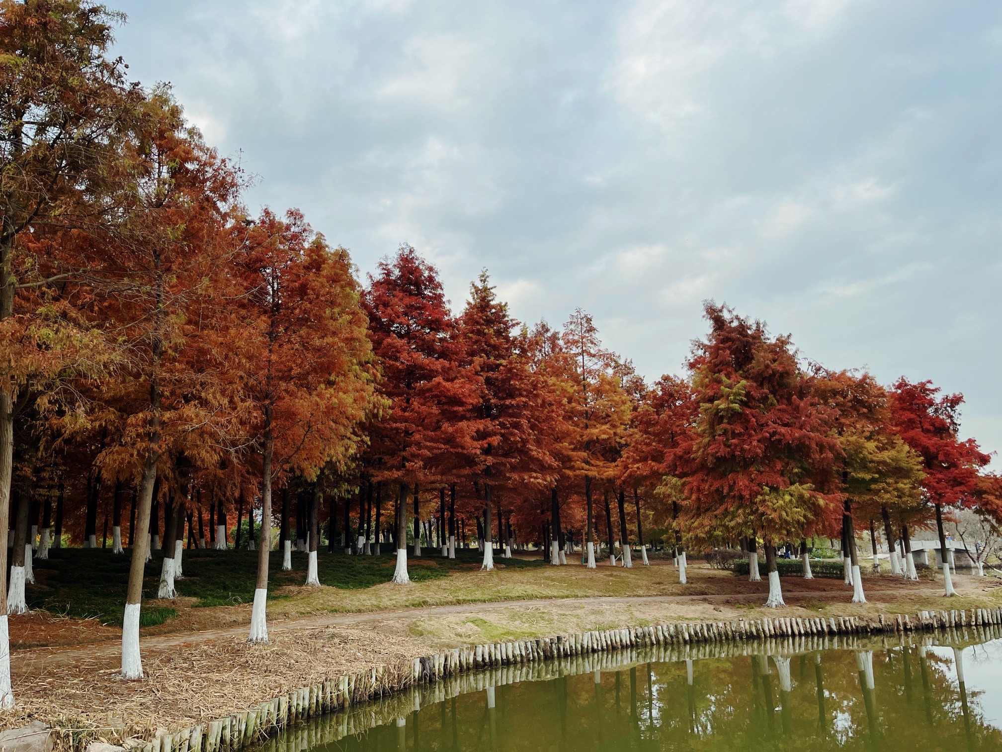 苗圃公园旅行图片 1