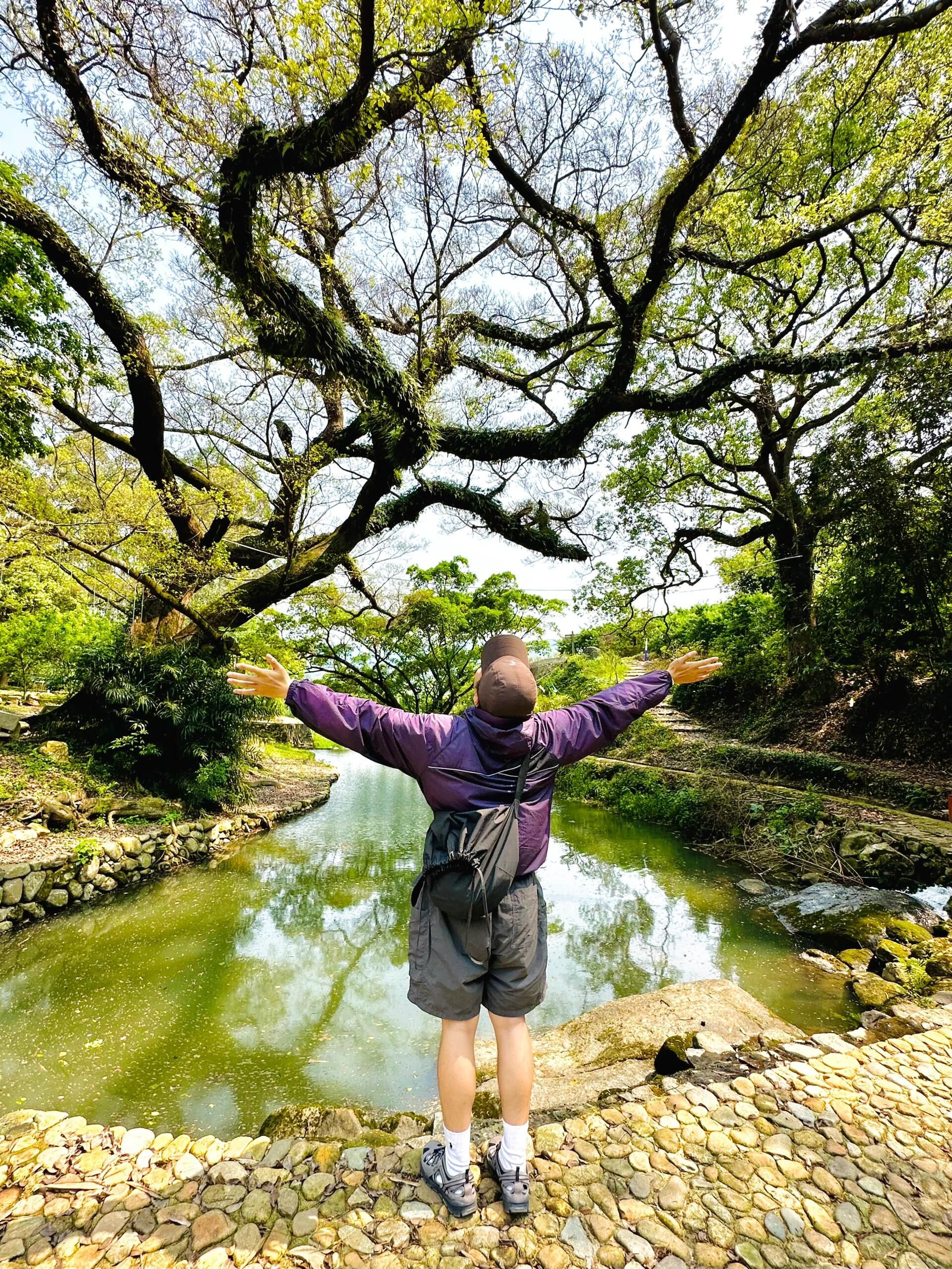 水尾塔旅行图片 3