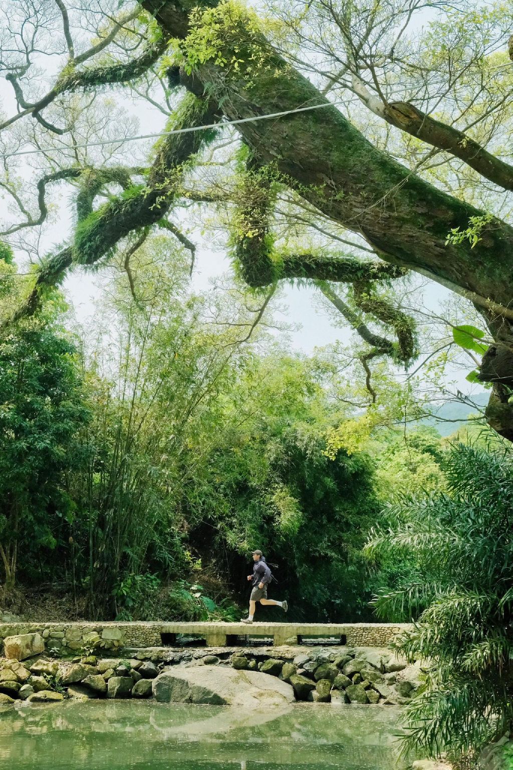 水尾塔旅行图片 1