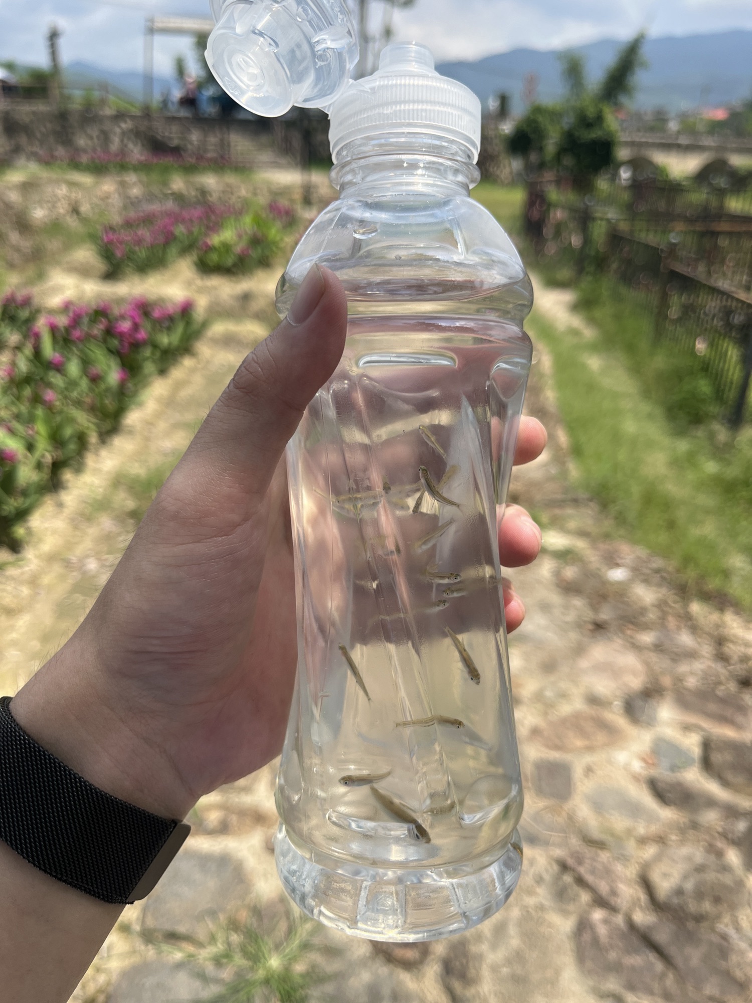 水尾塔旅行图片 1