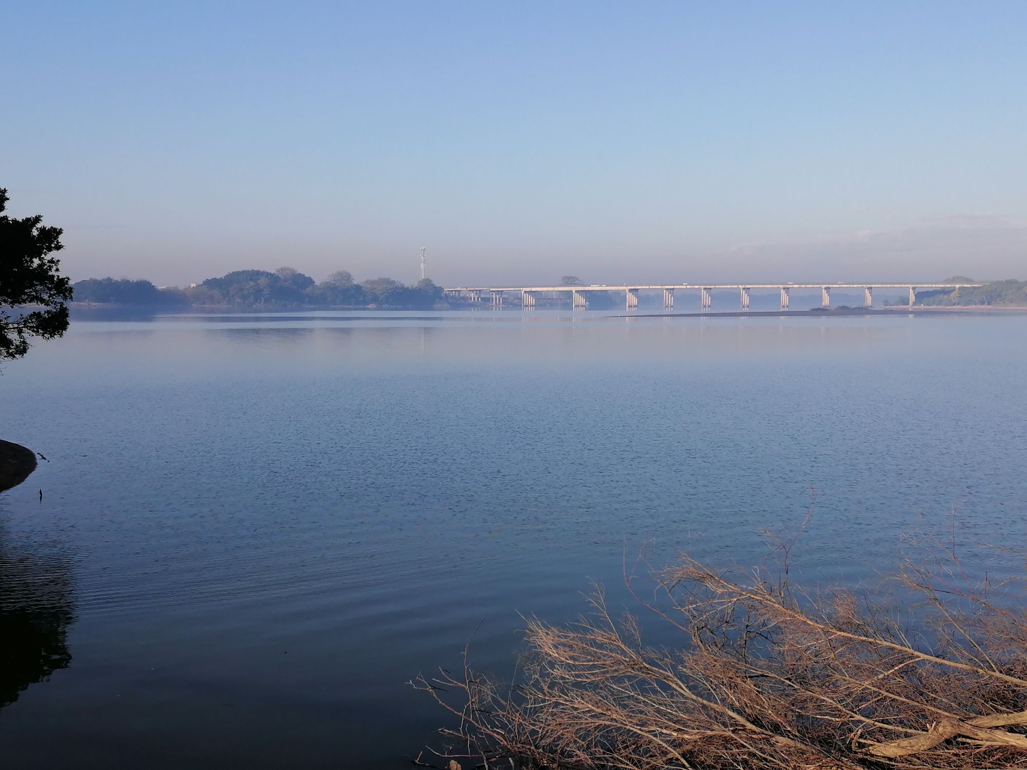 樟籍白鹤滩公园旅行图片 2