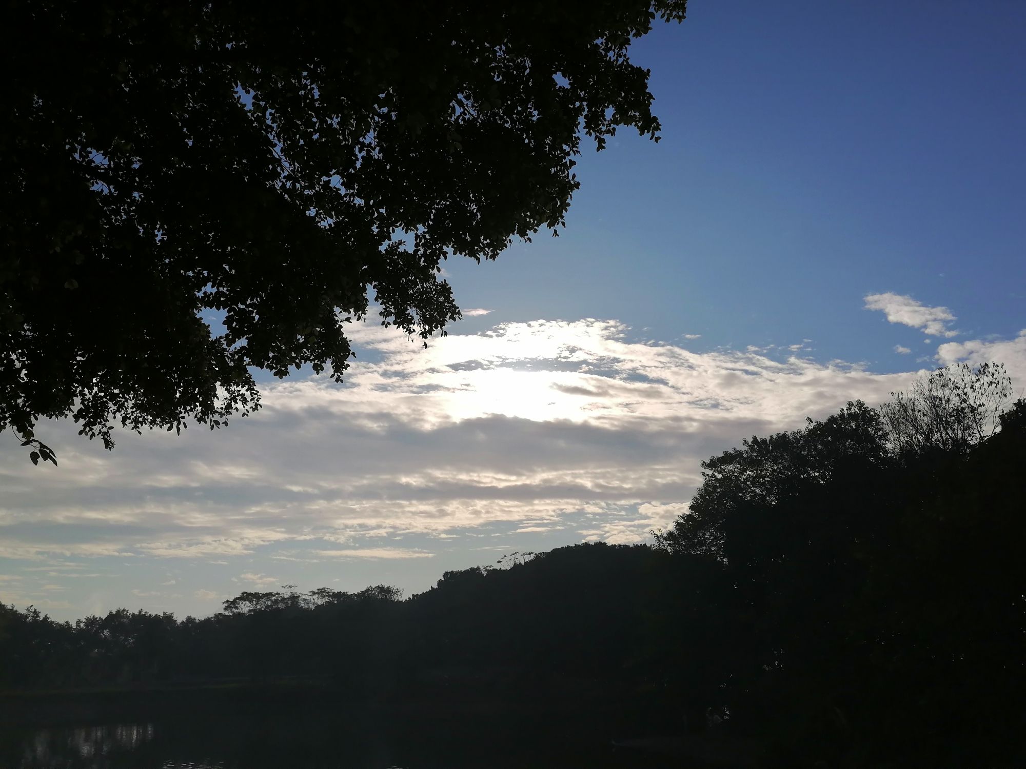 樟籍白鹤滩公园旅行图片 3