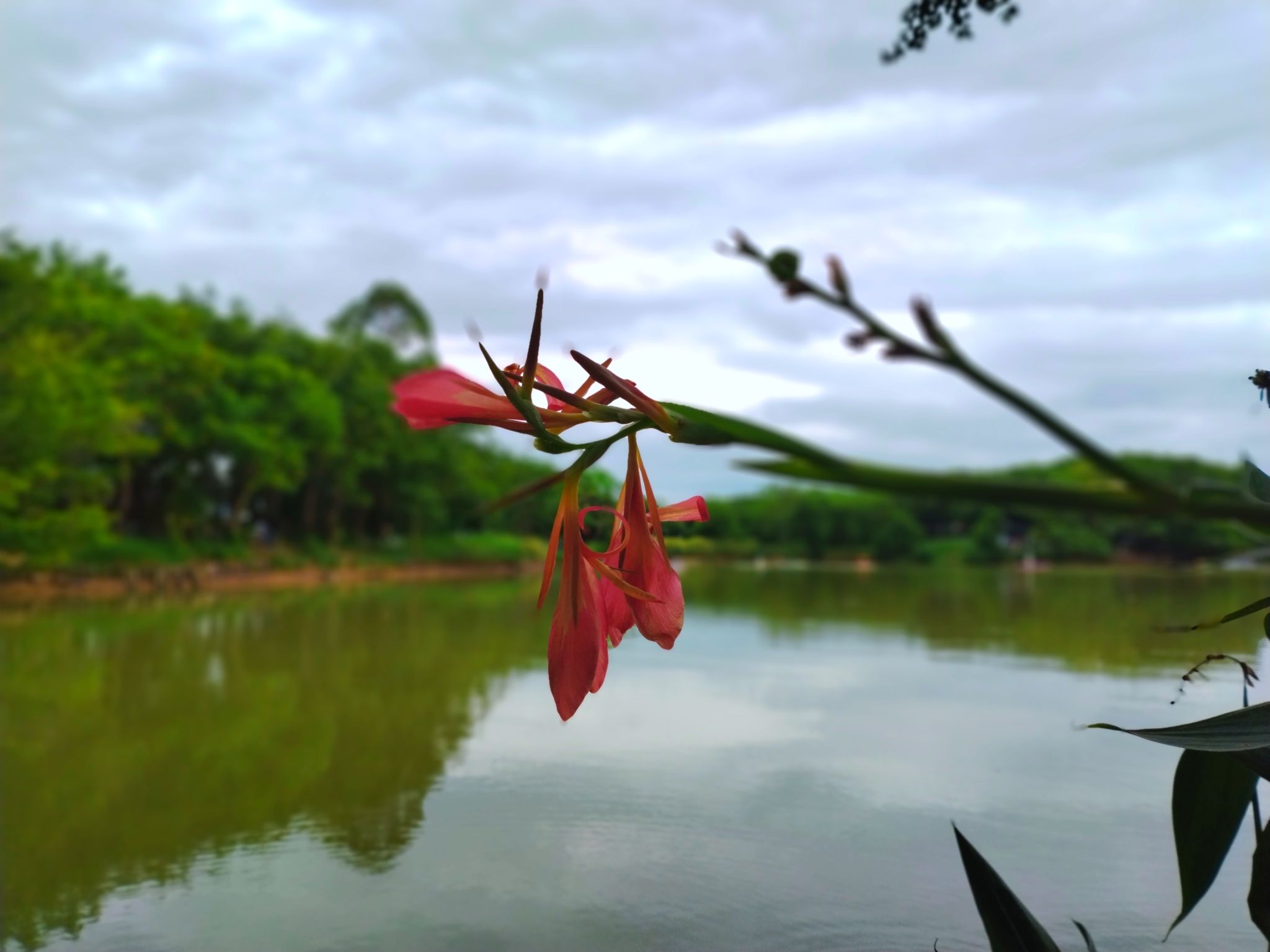 樟籍白鹤滩公园旅行图片 1