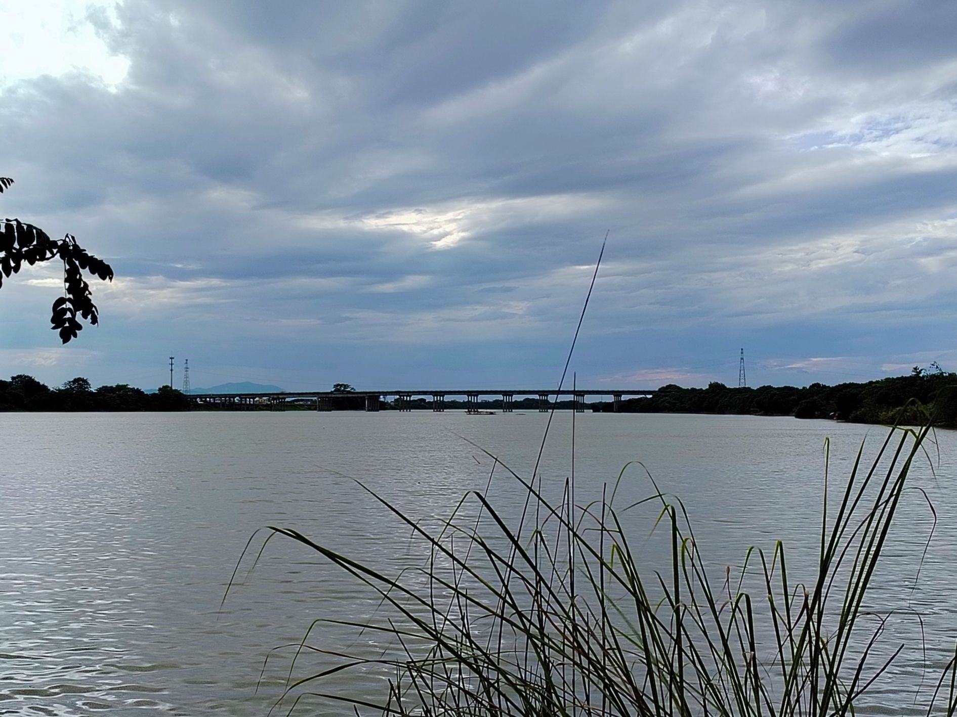 樟籍白鹤滩公园旅行图片 2