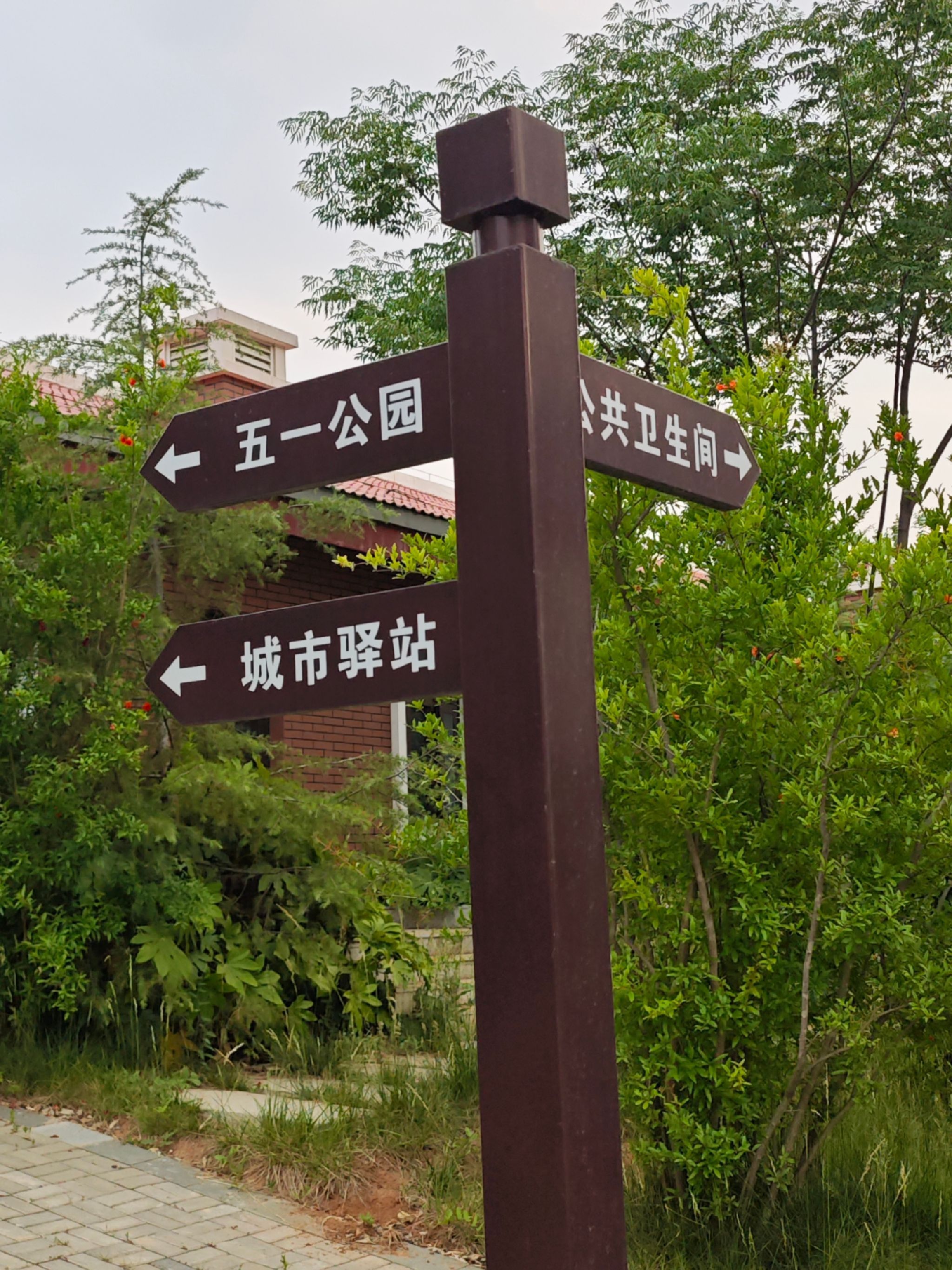 五一公园旅行图片 1
