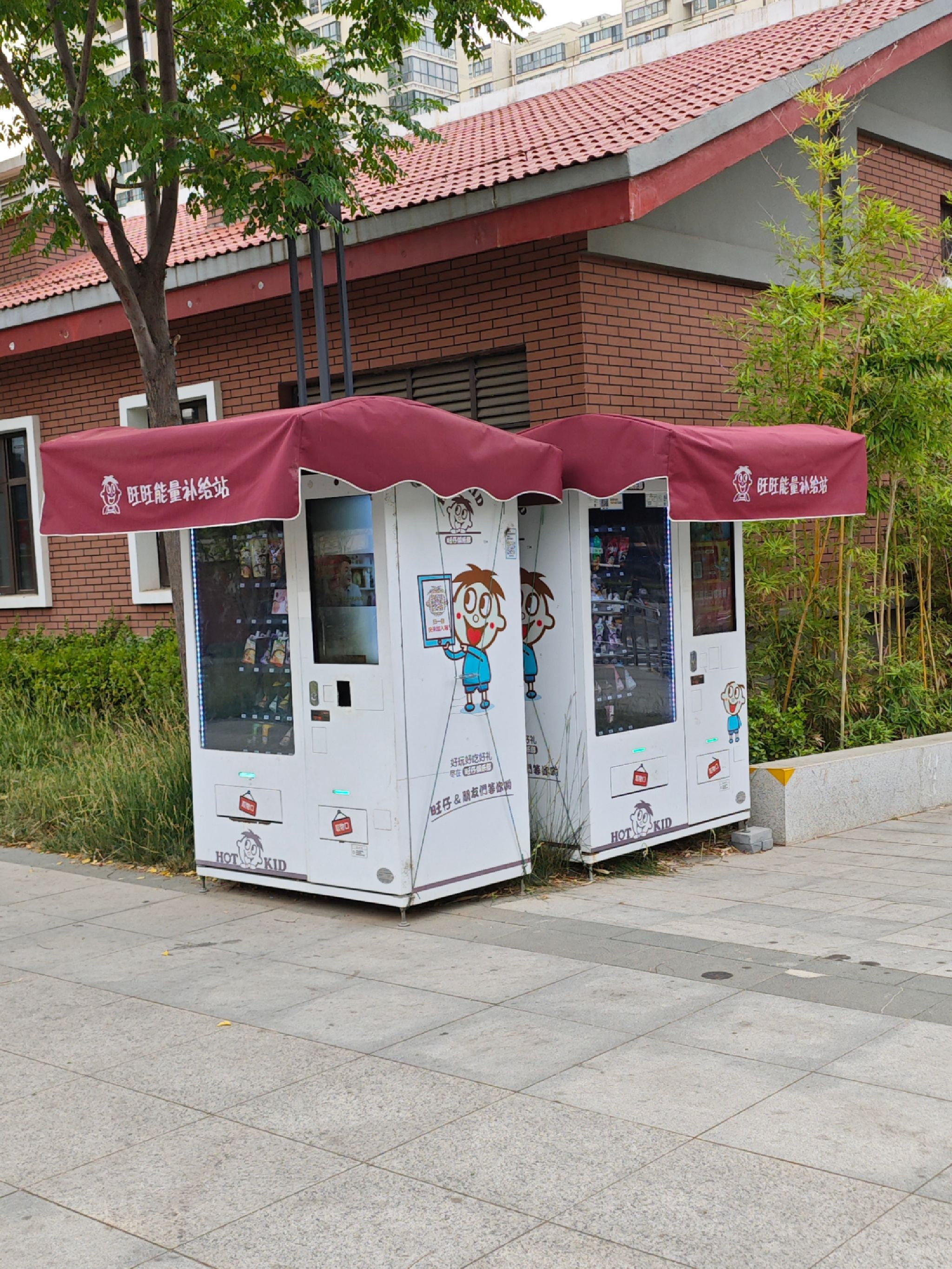 五一公园旅行图片 3