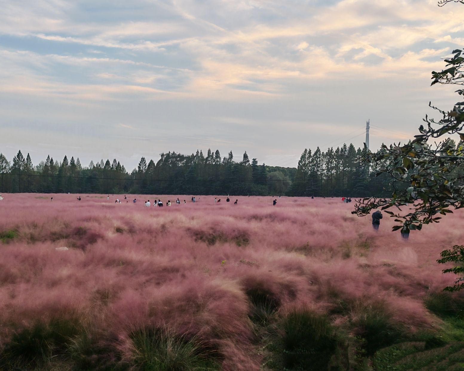 场地封面-三桥湿地公园-露营地