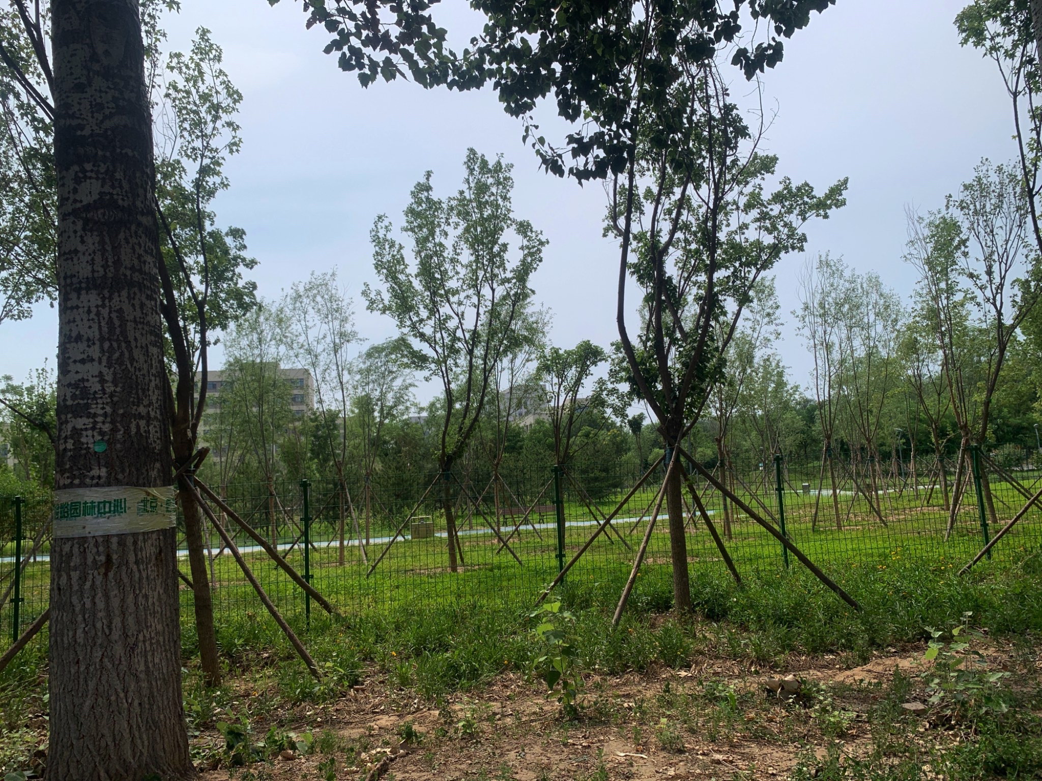 天空花园旅行图片 1