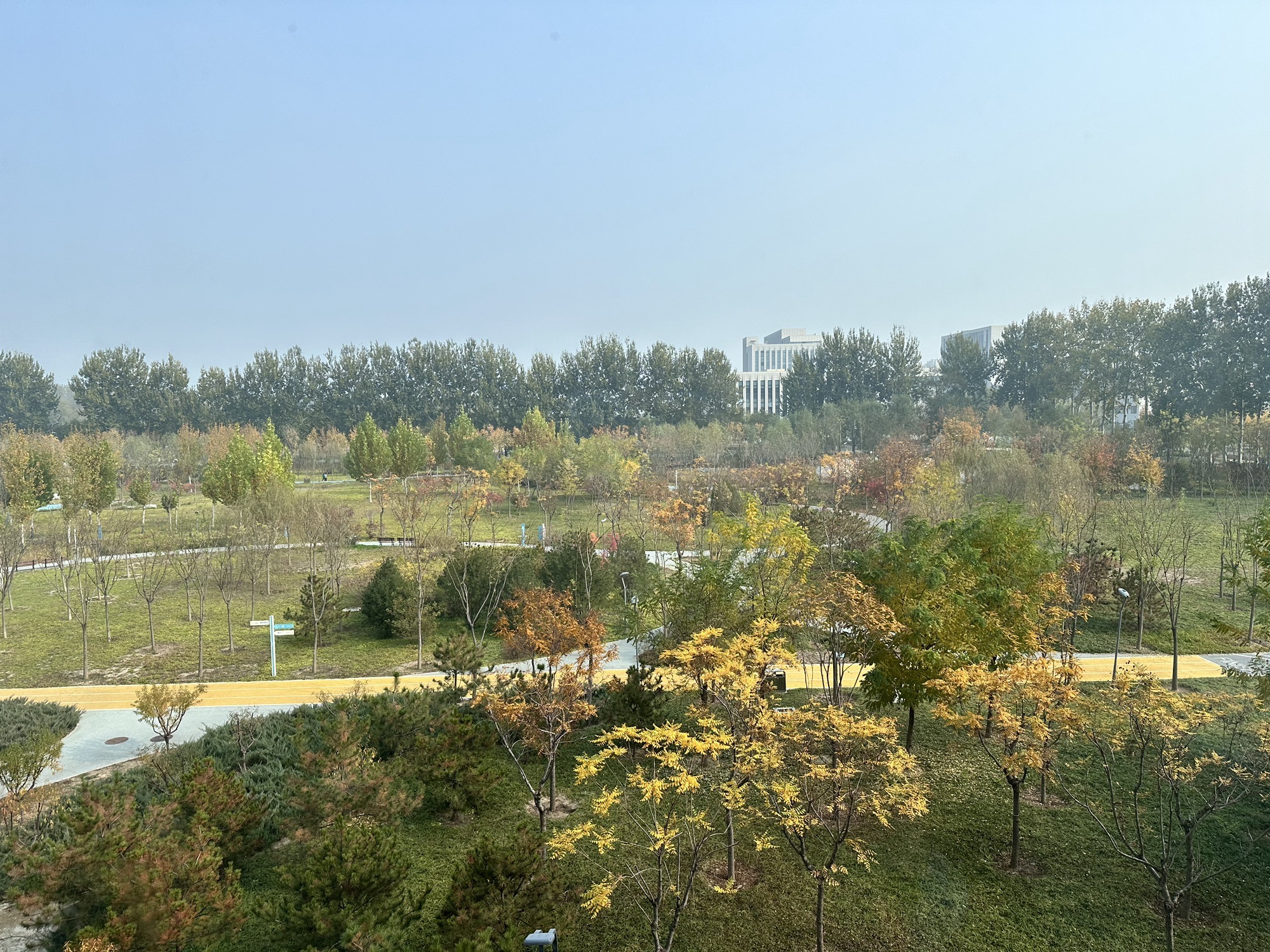 天空花园旅行图片 1