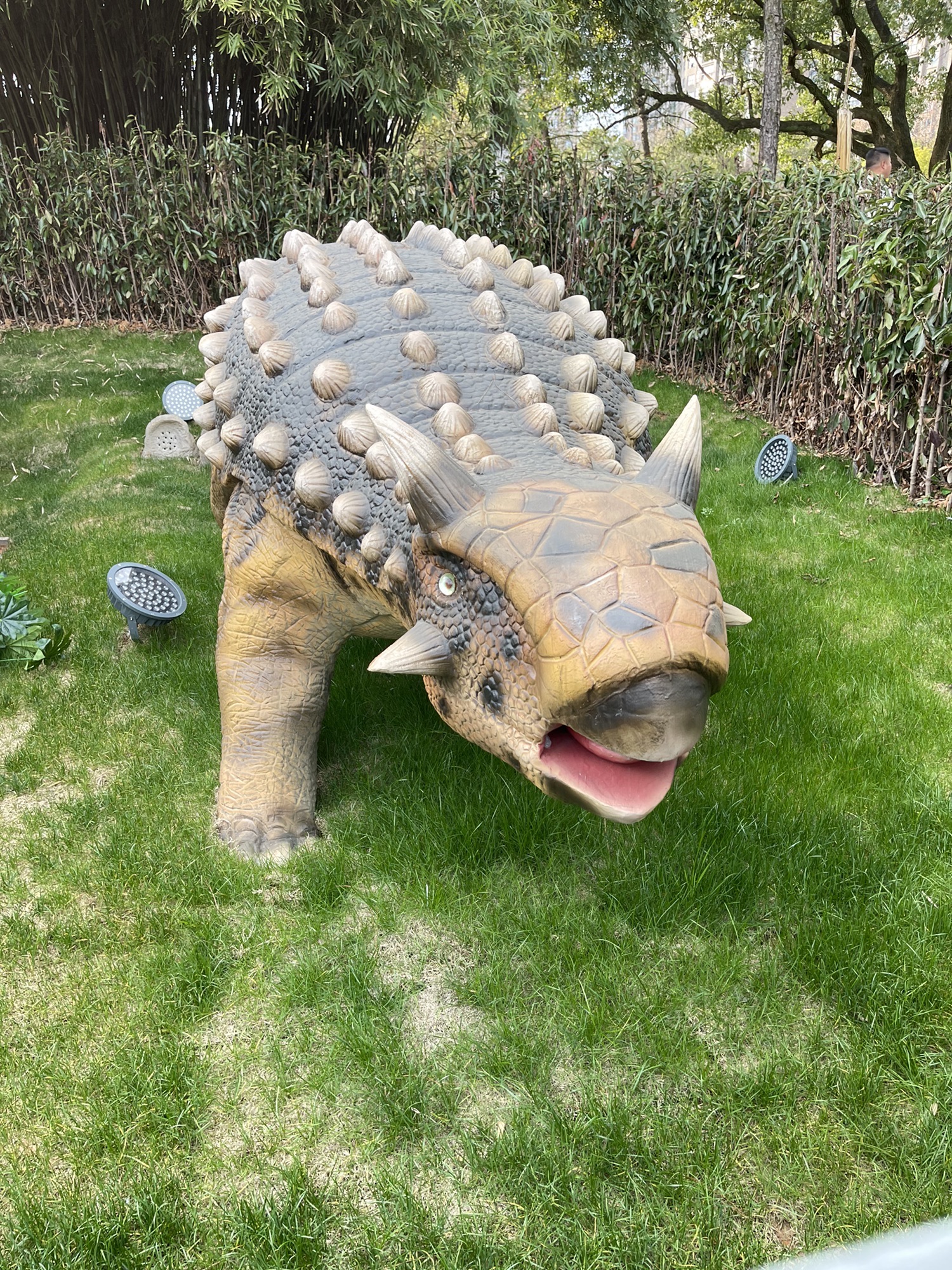奇趣恐龙岛旅行图片 2