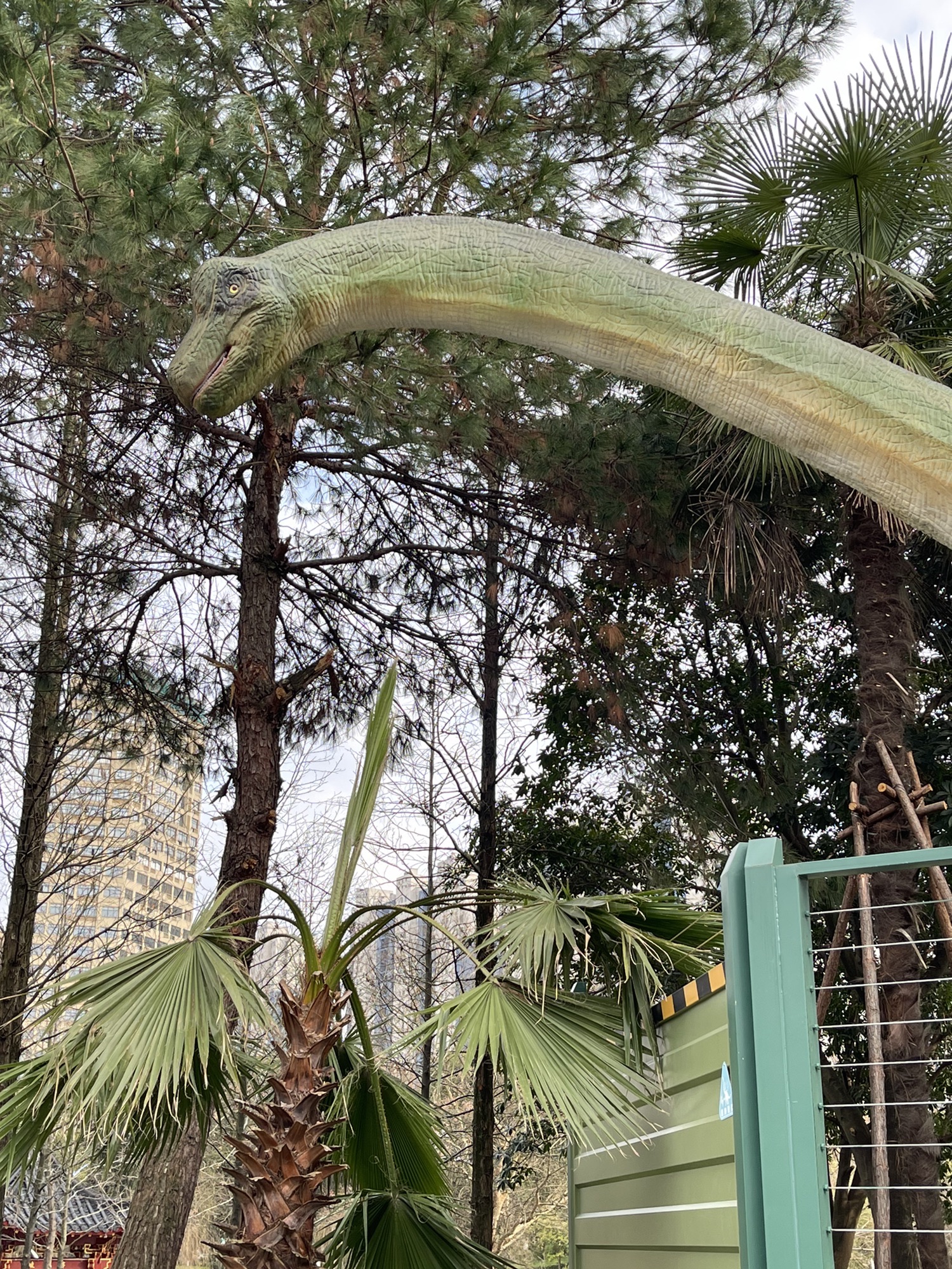 奇趣恐龙岛旅行图片 3