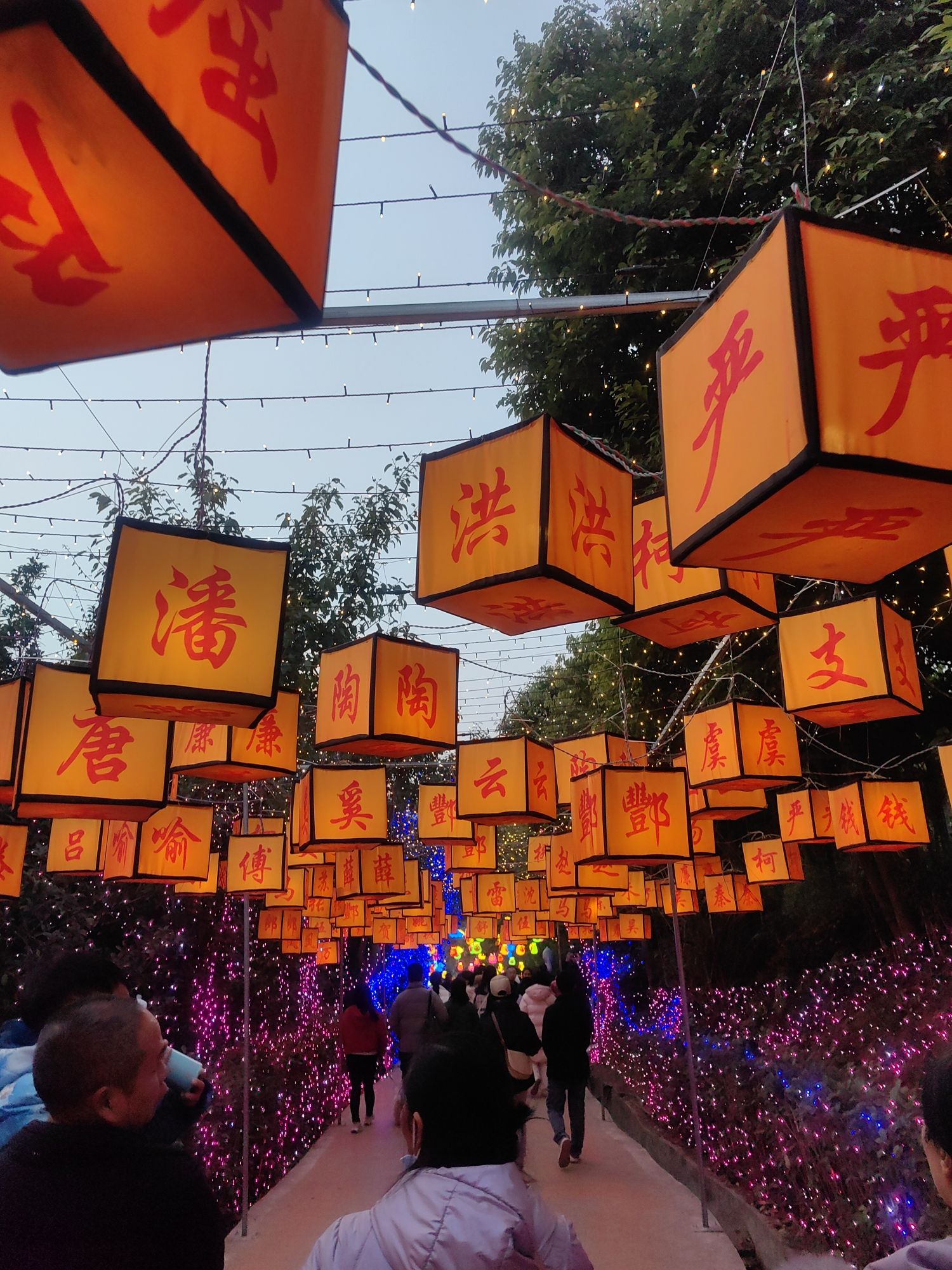 眉山彩灯光影大世界旅行图片 1