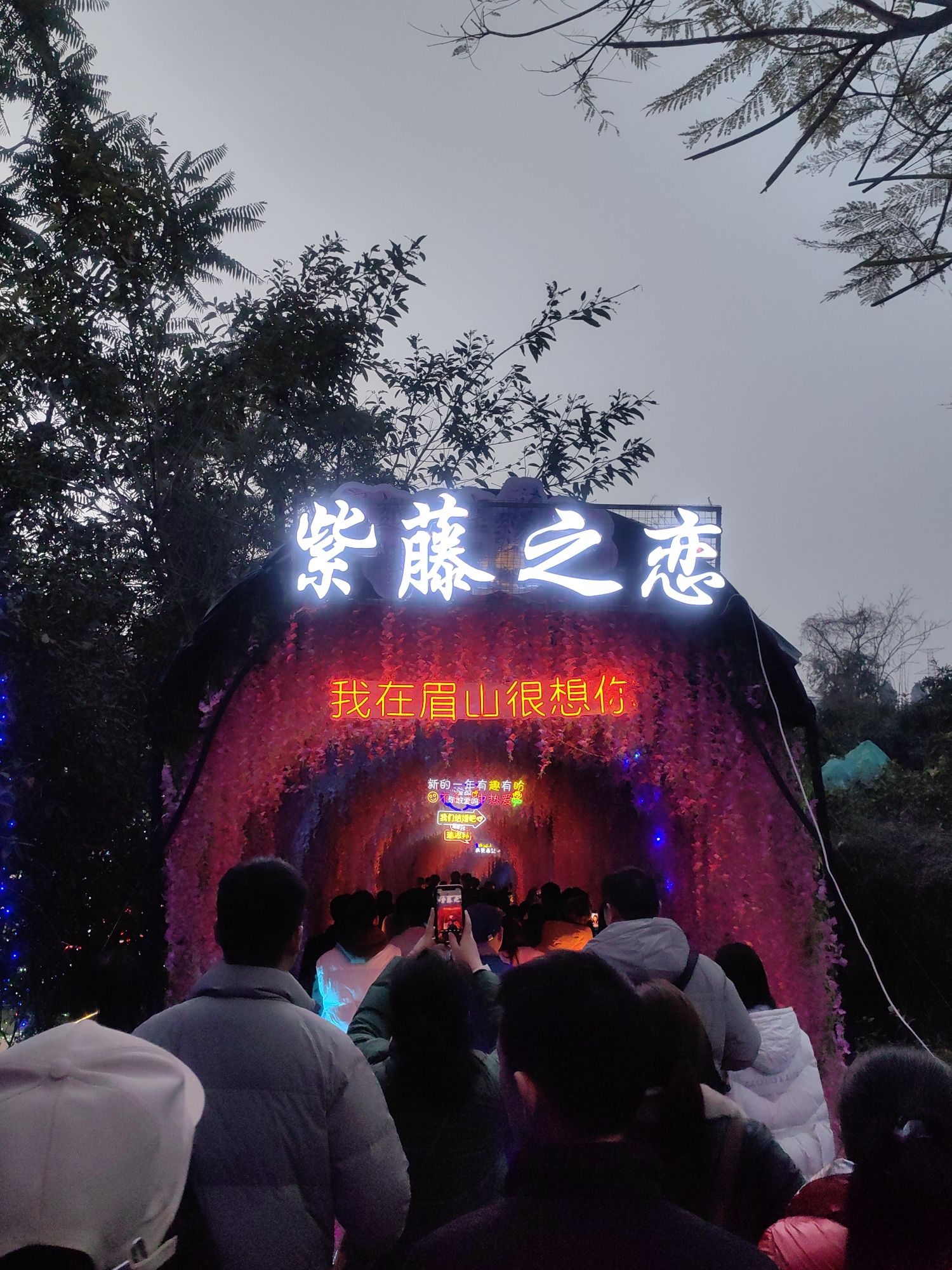 眉山彩灯光影大世界旅行图片 2