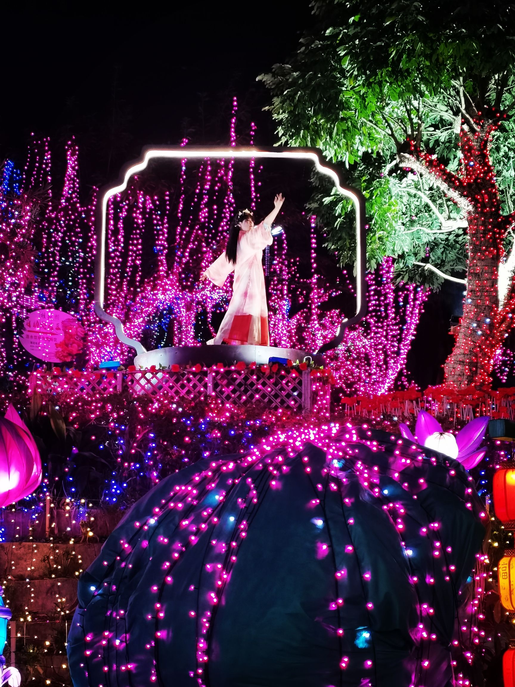 眉山彩灯光影大世界旅行图片 2