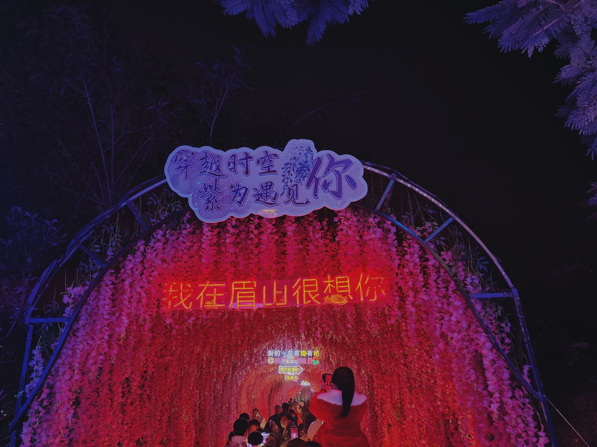 眉山彩灯光影大世界旅行图片 3