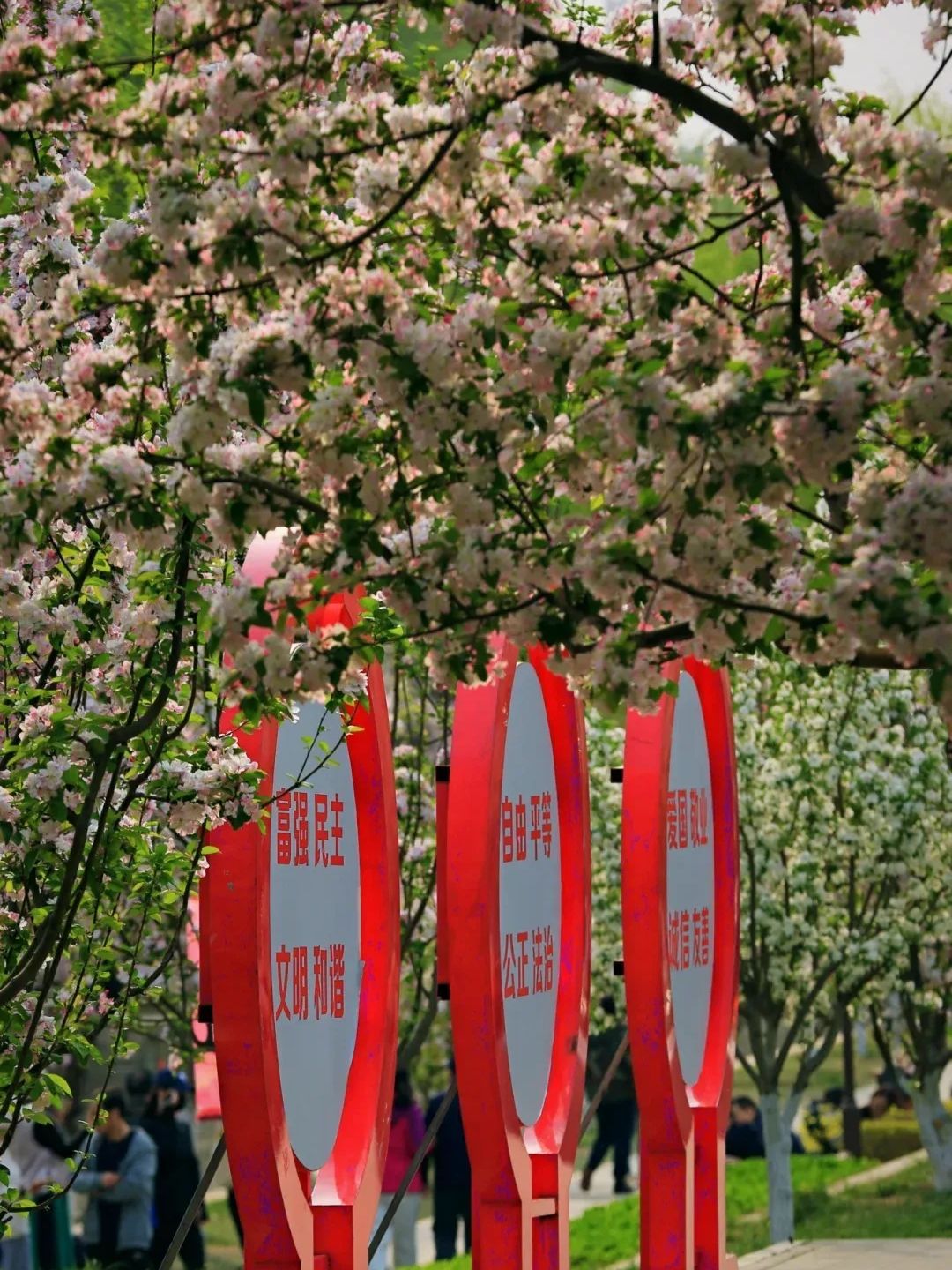 海棠花溪公园旅行图片 2
