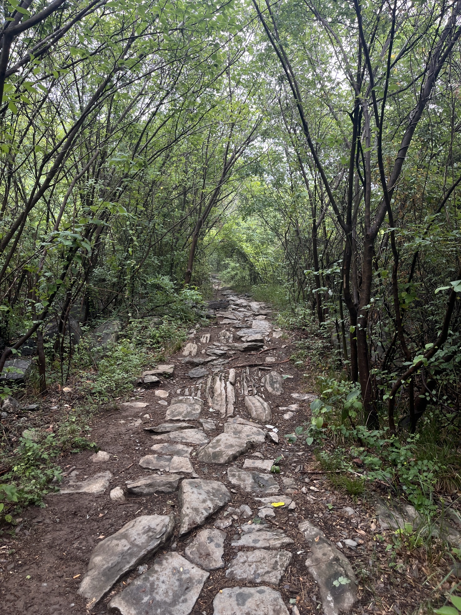 花山千年古道旅行图片 2
