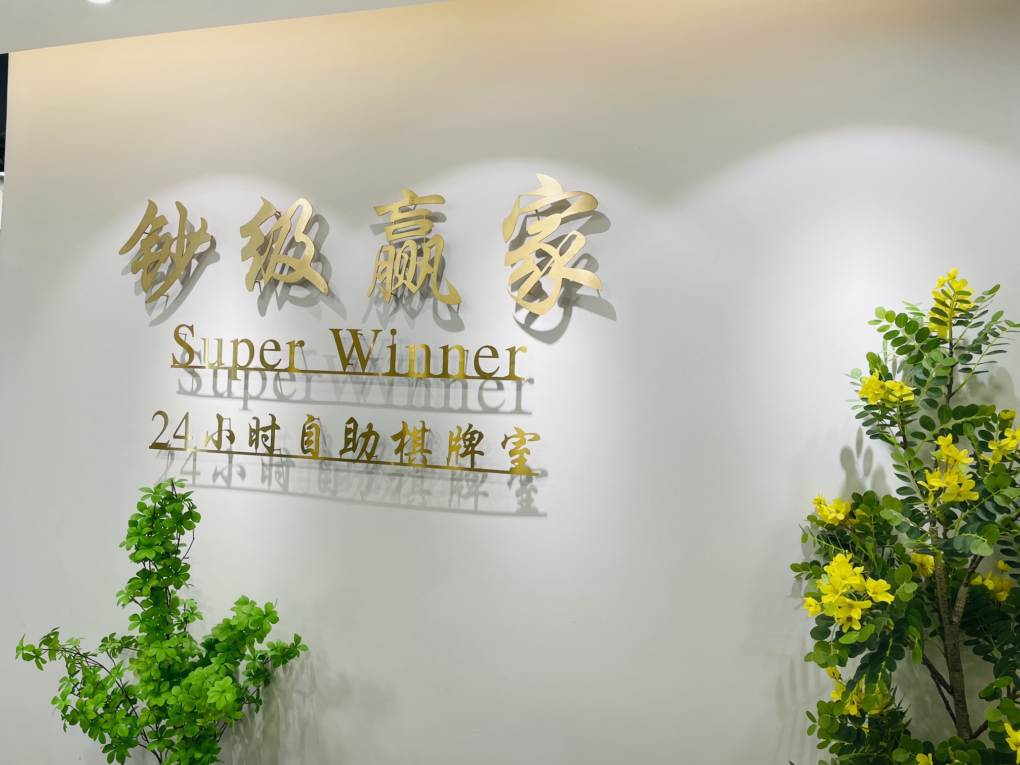 场地封面-钞级赢家24小时自助棋牌室(国际商务中心店)